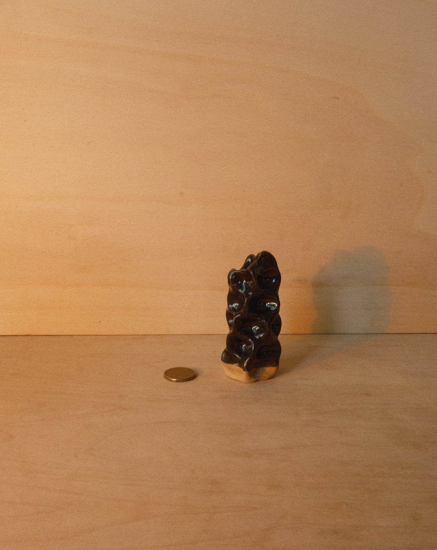 BLACK MOREL VASE 008