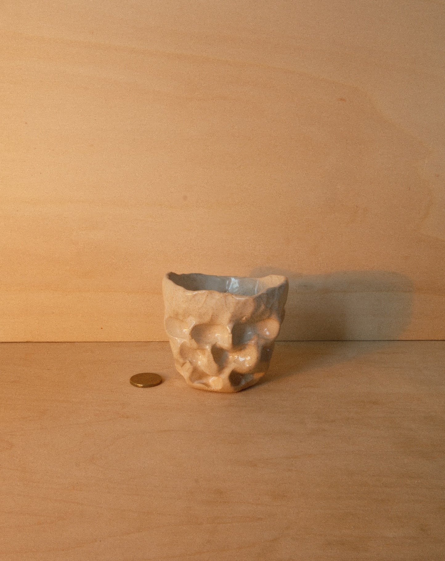 WHITE MOREL CUP 001