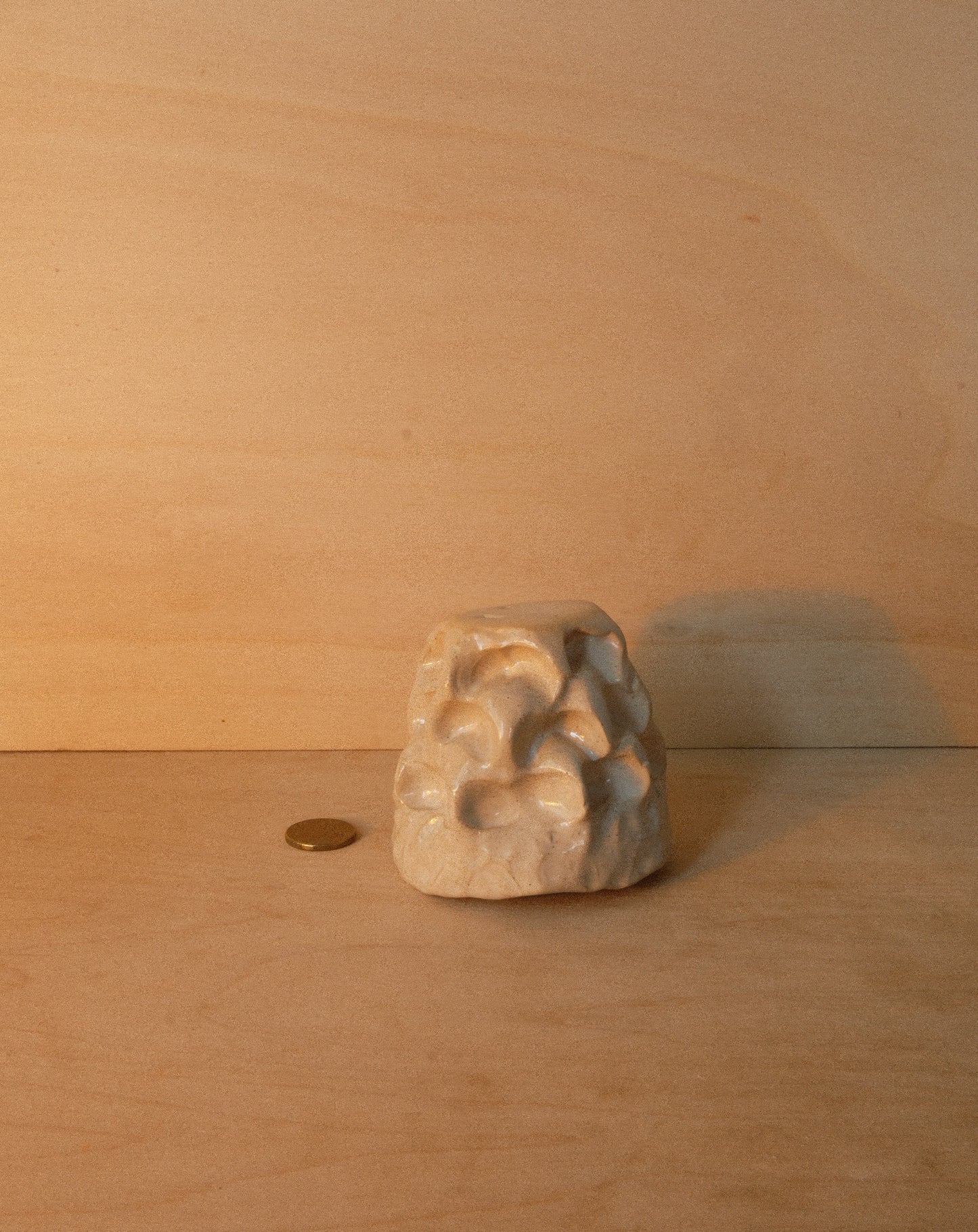 WHITE MOREL CUP 001