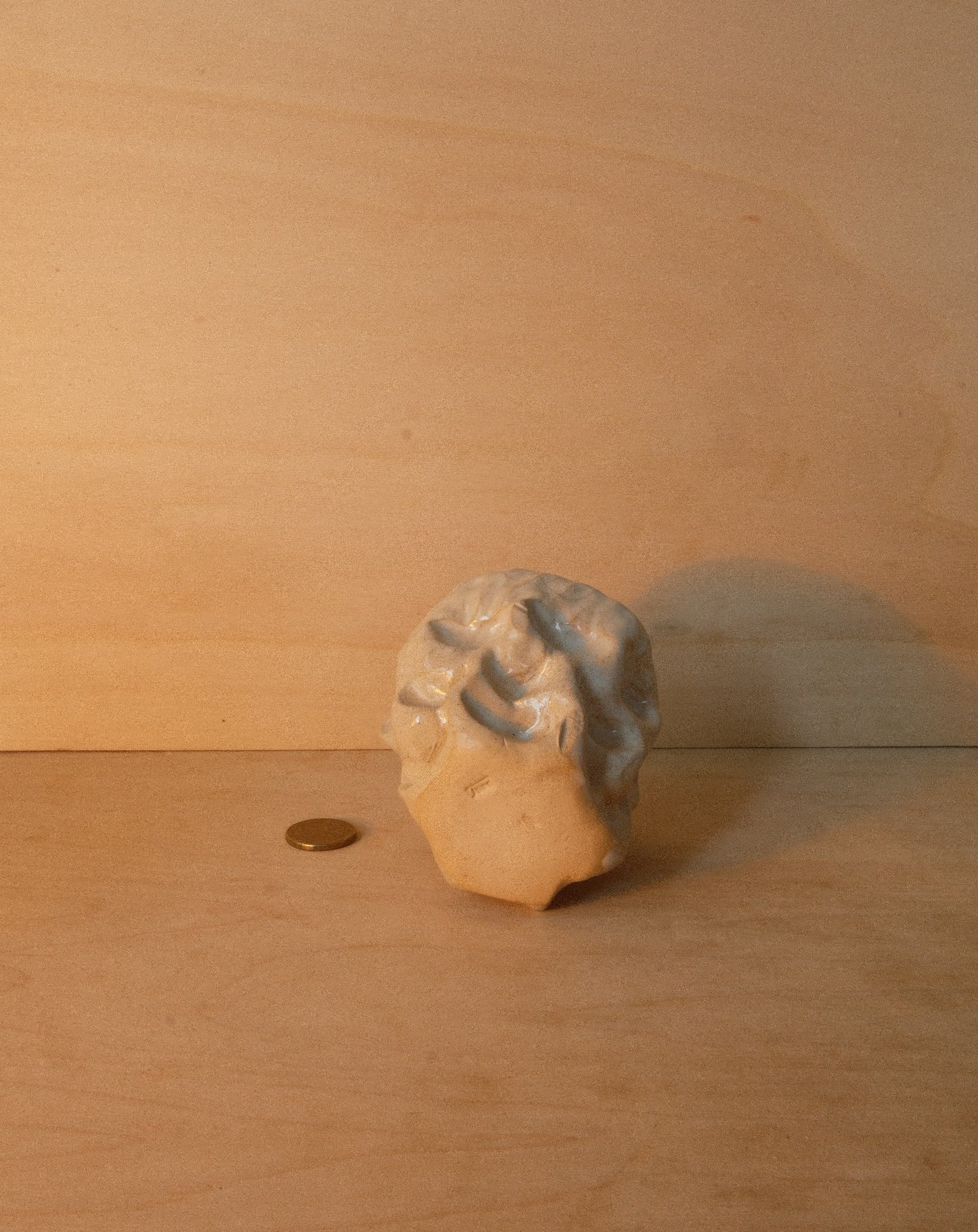 WHITE MOREL CUP 001