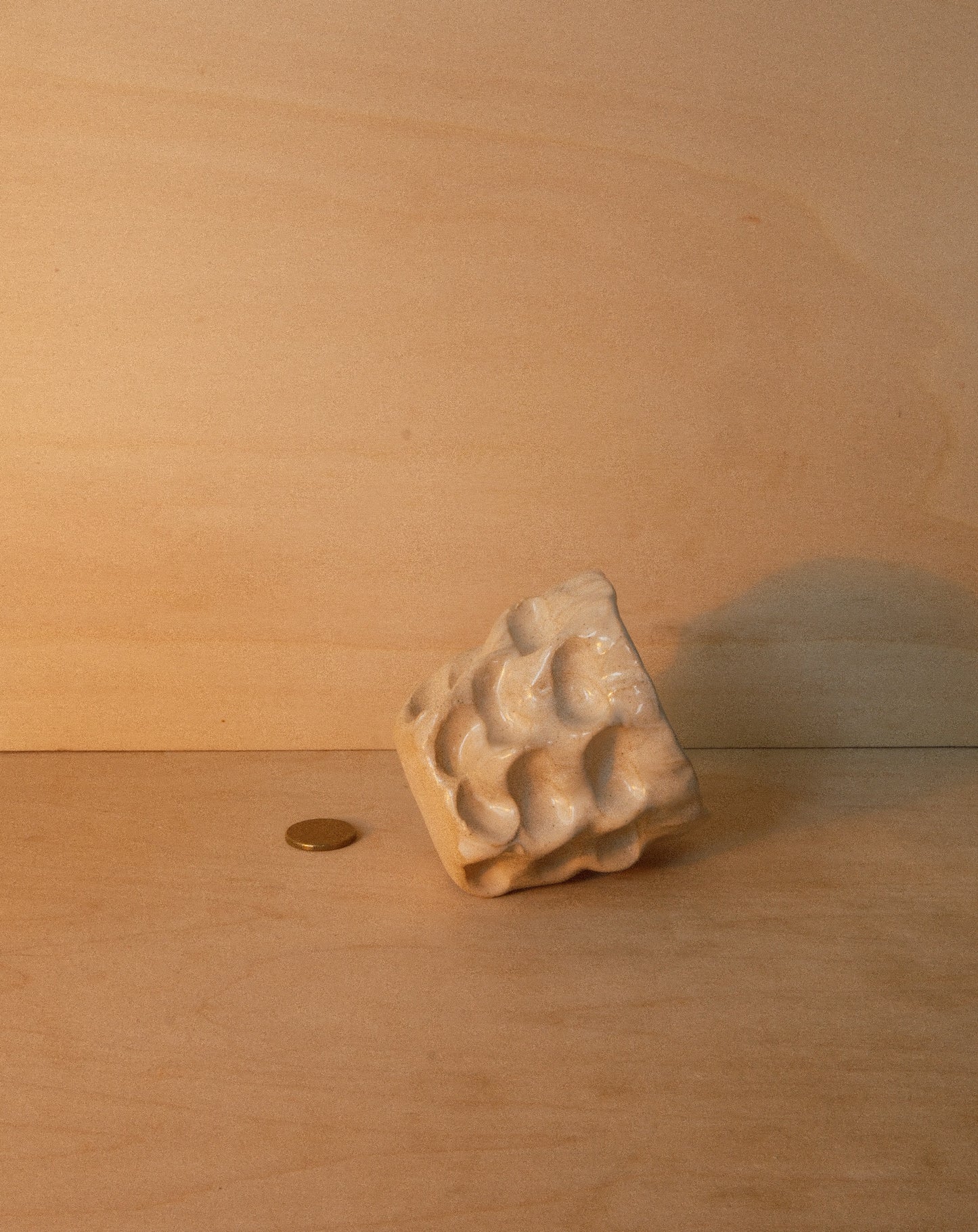 WHITE MOREL CUP 001