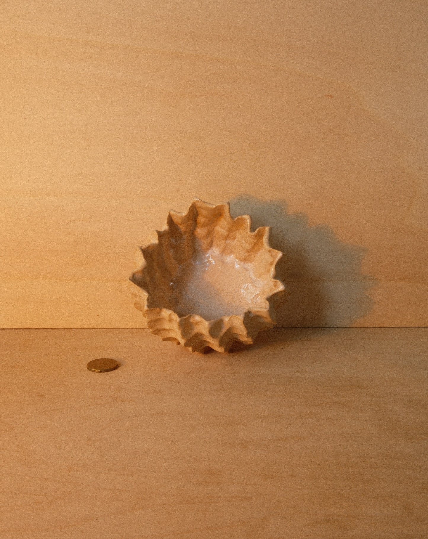 WHITE MOREL BOWL 001