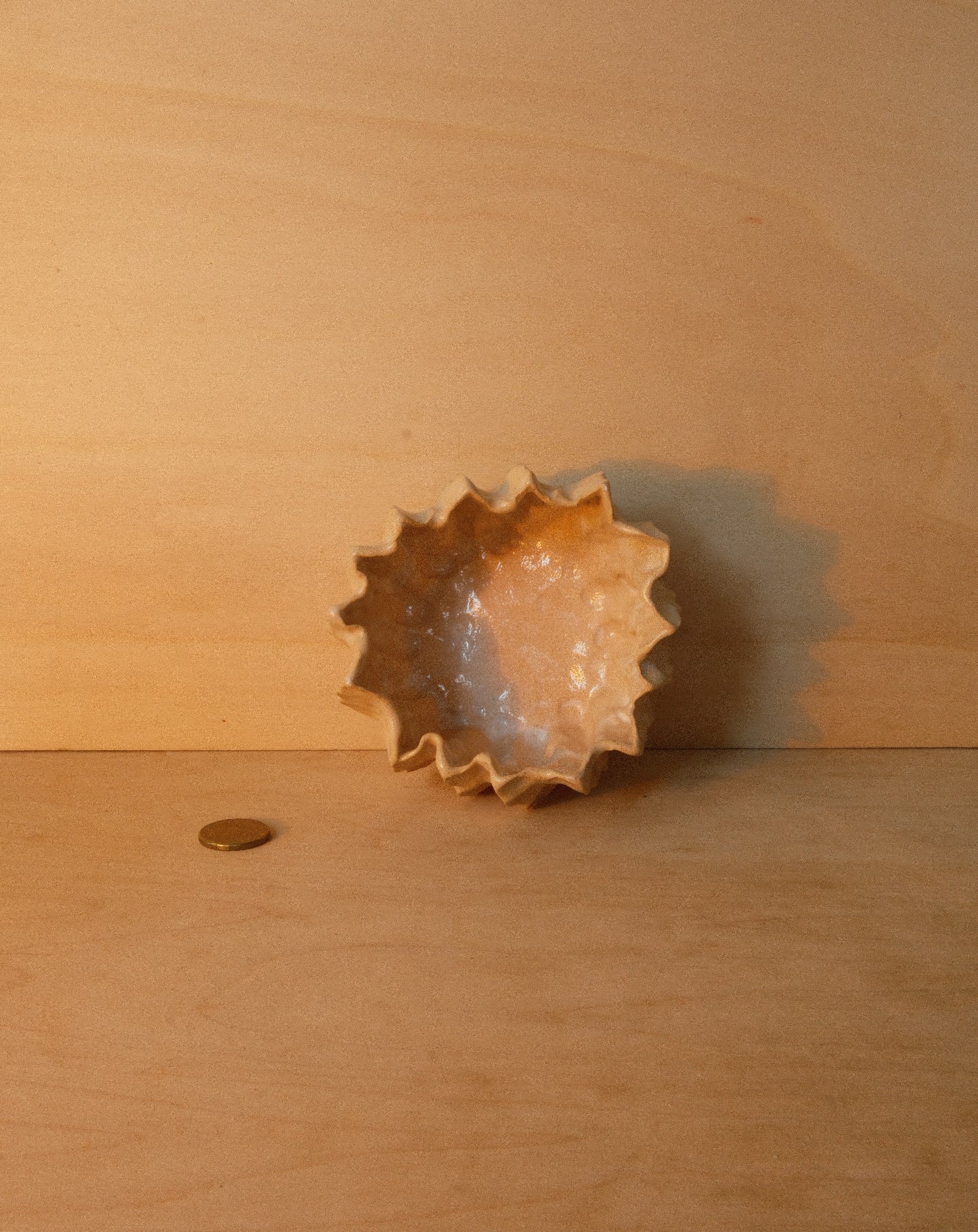 WHITE MOREL BOWL 001