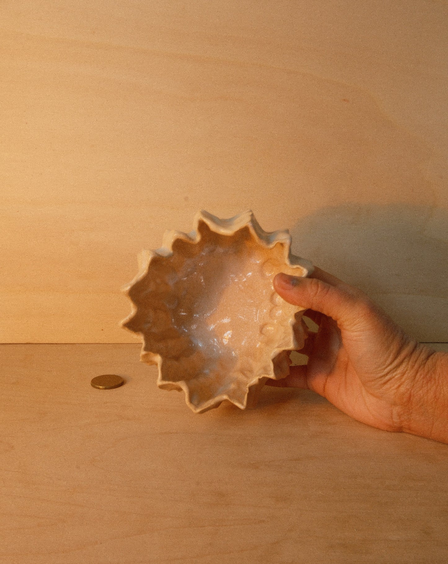 WHITE MOREL BOWL 001