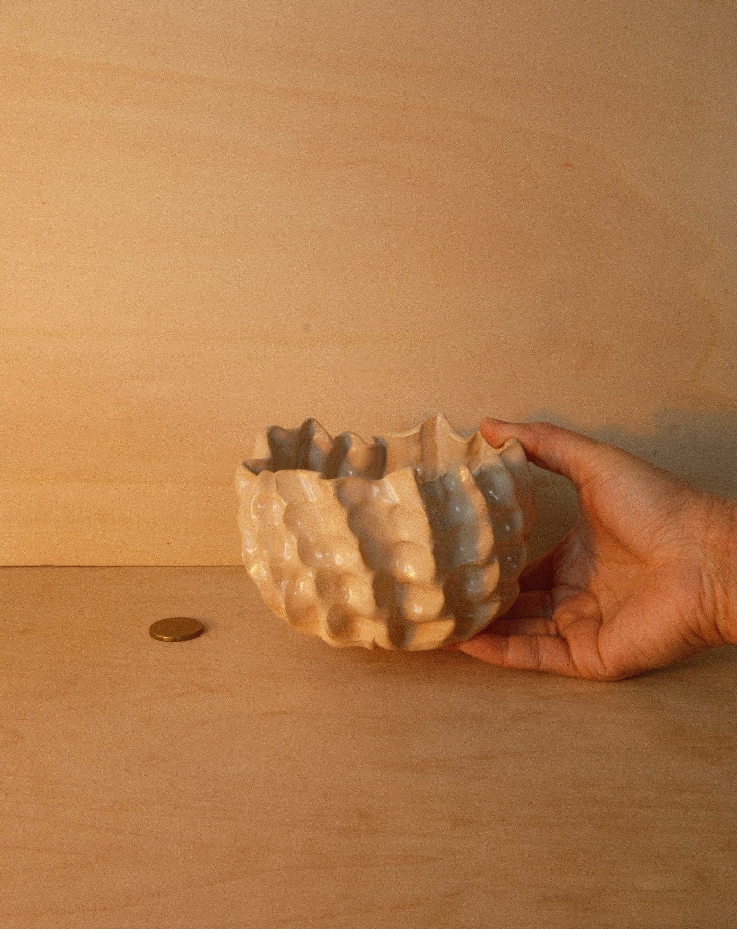 WHITE MOREL BOWL 001