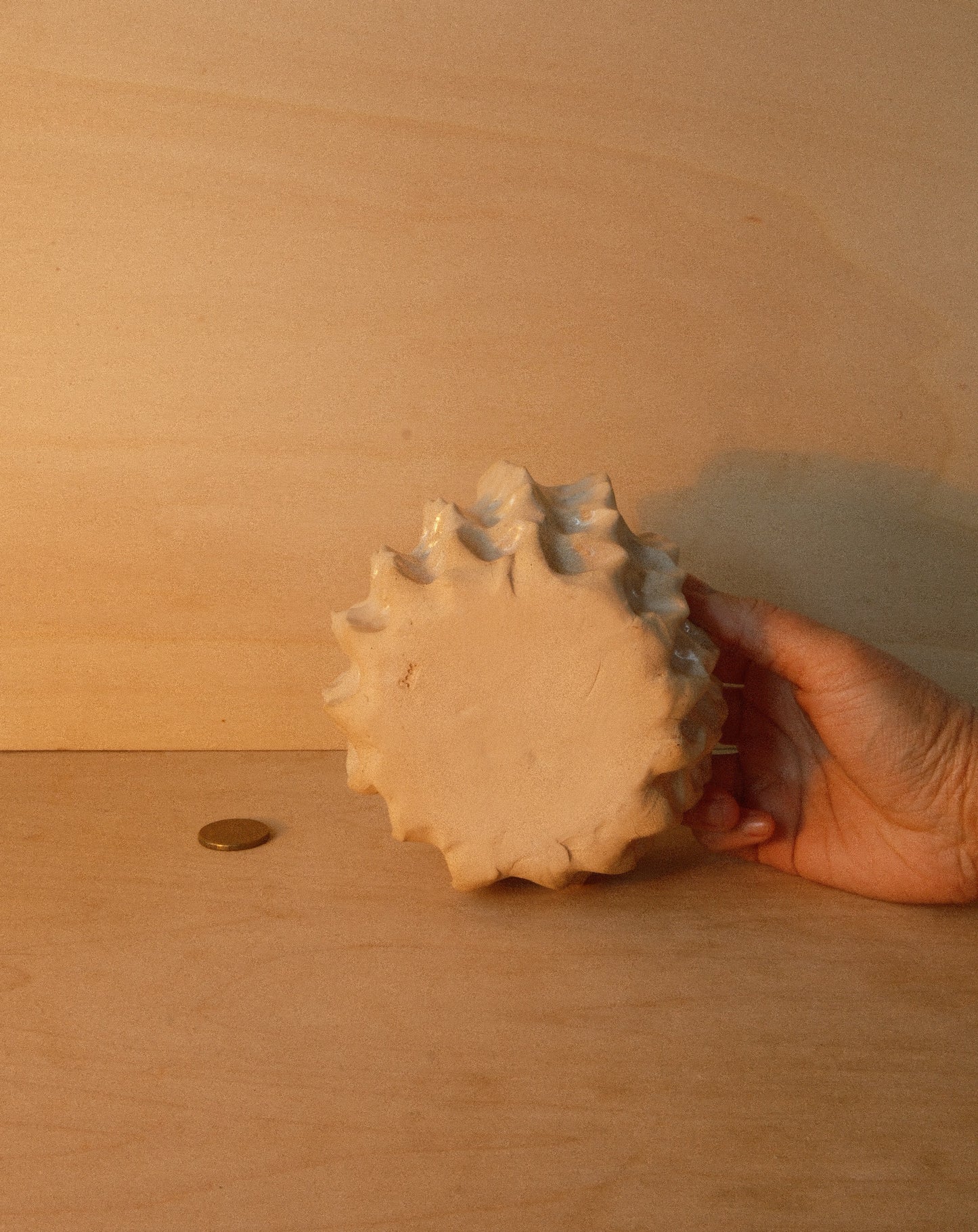 WHITE MOREL BOWL 001