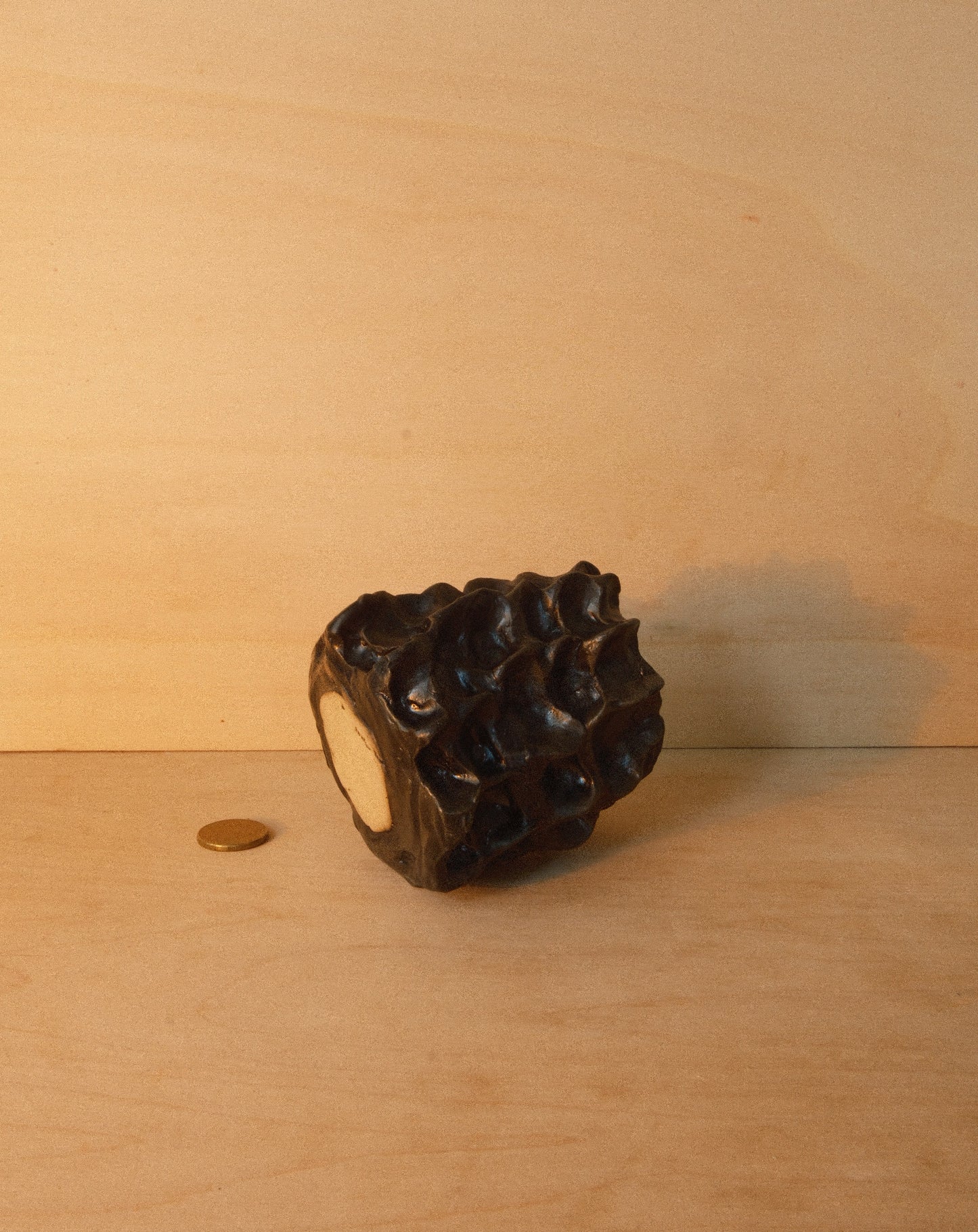 BLACK MOREL VASE 001