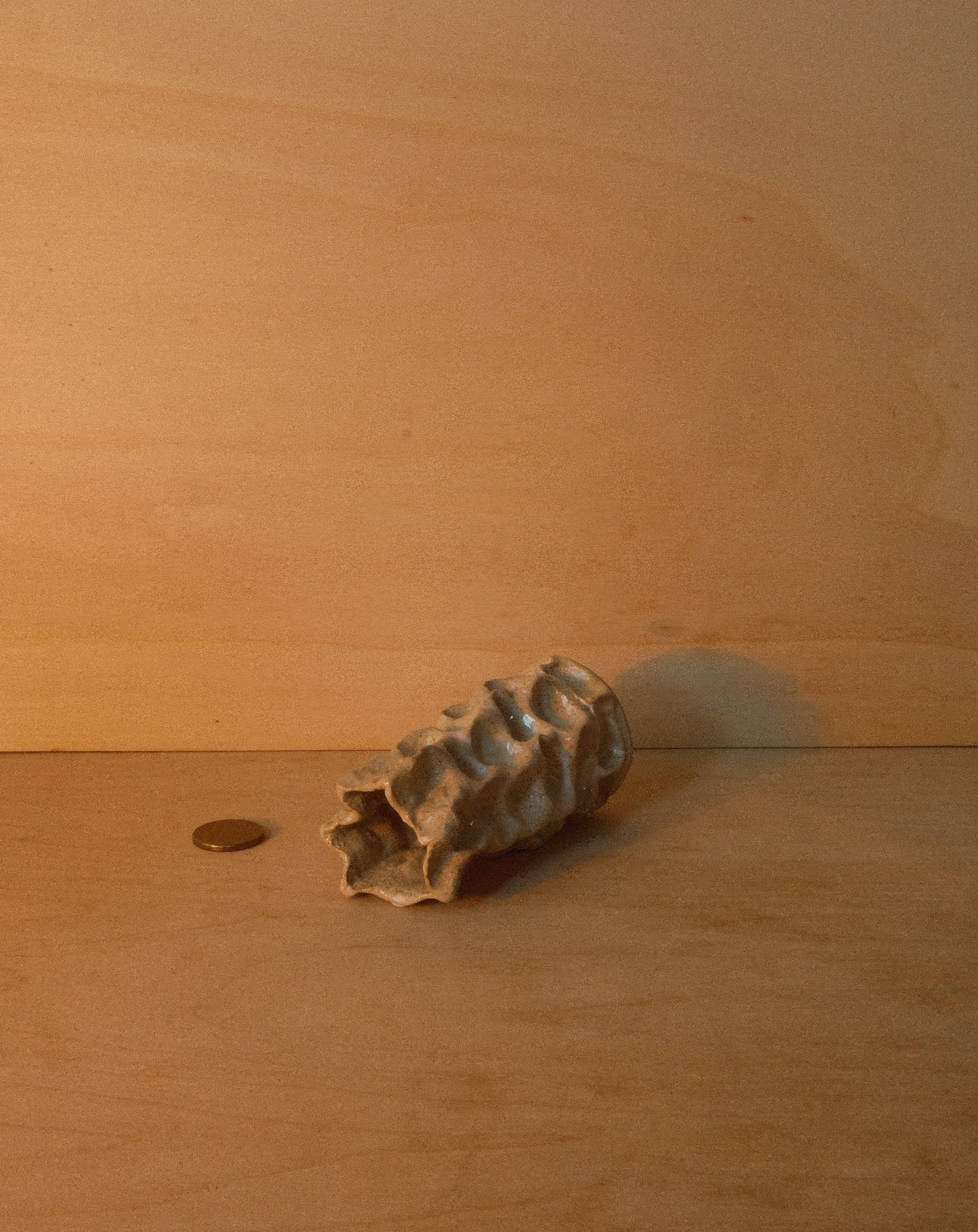 WHITE MOREL VASE 001