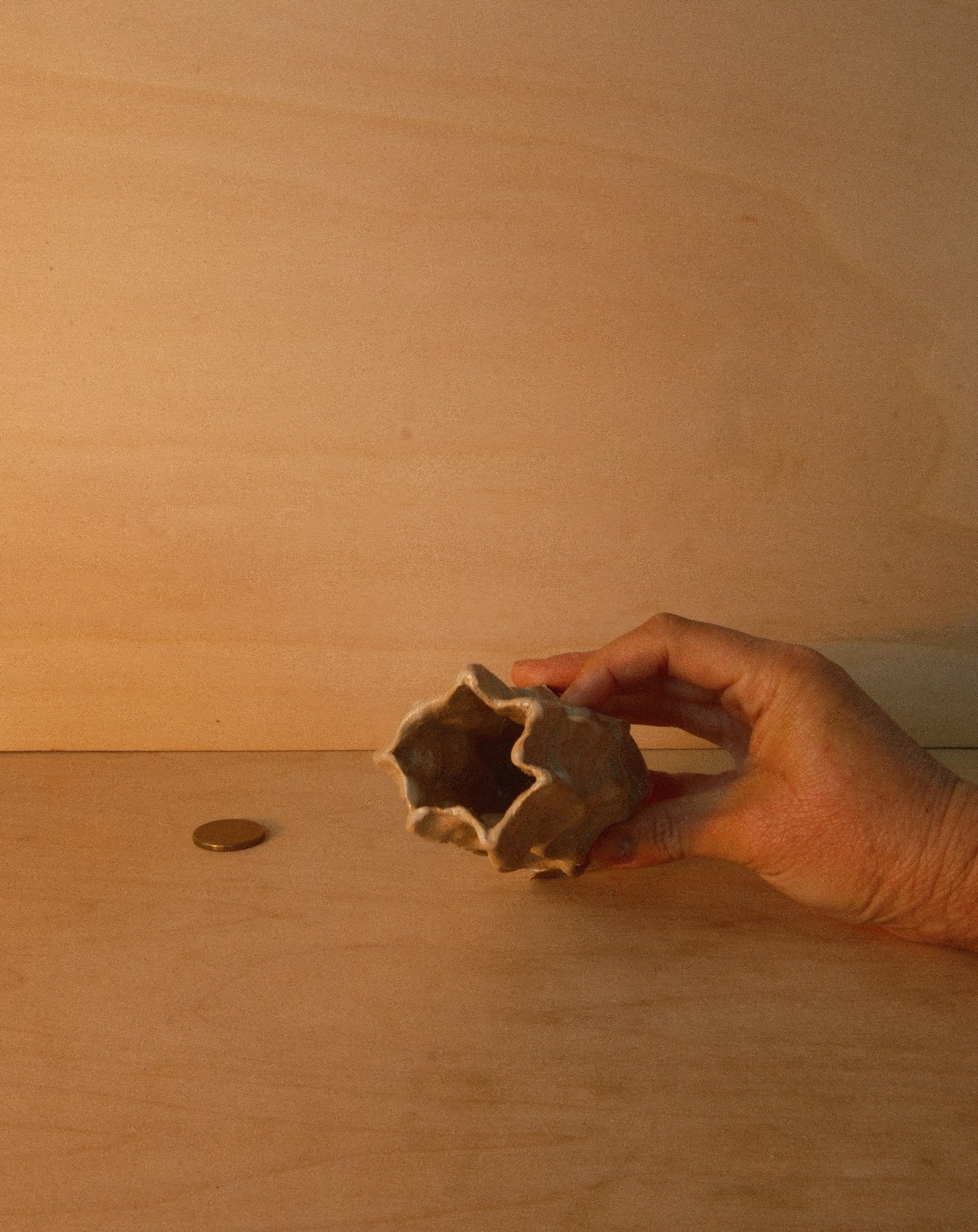 WHITE MOREL VASE 001