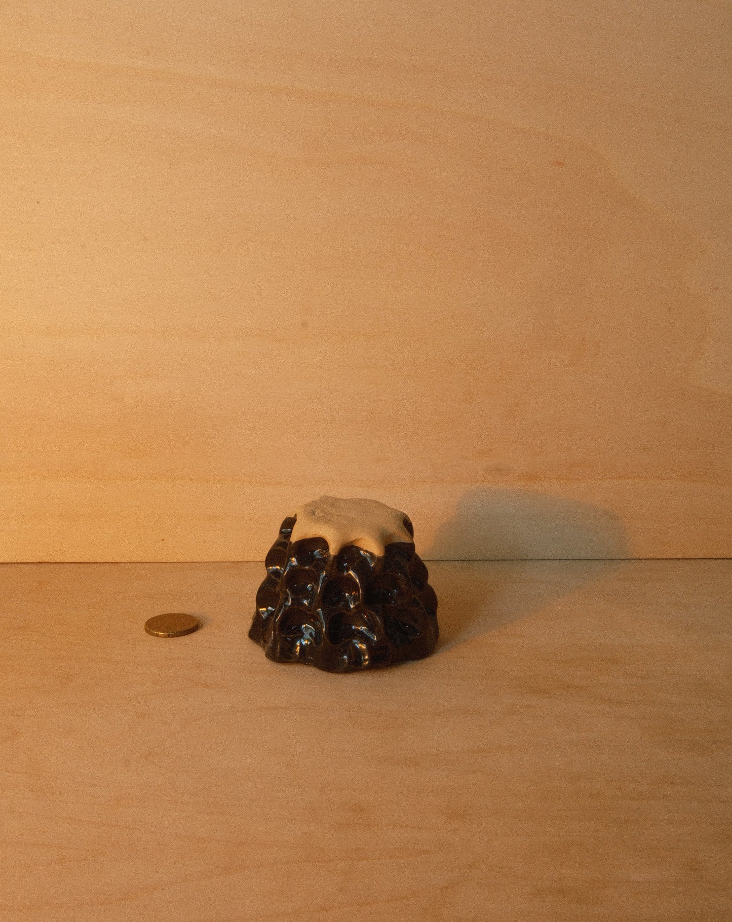 BLACK MOREL CUP 001