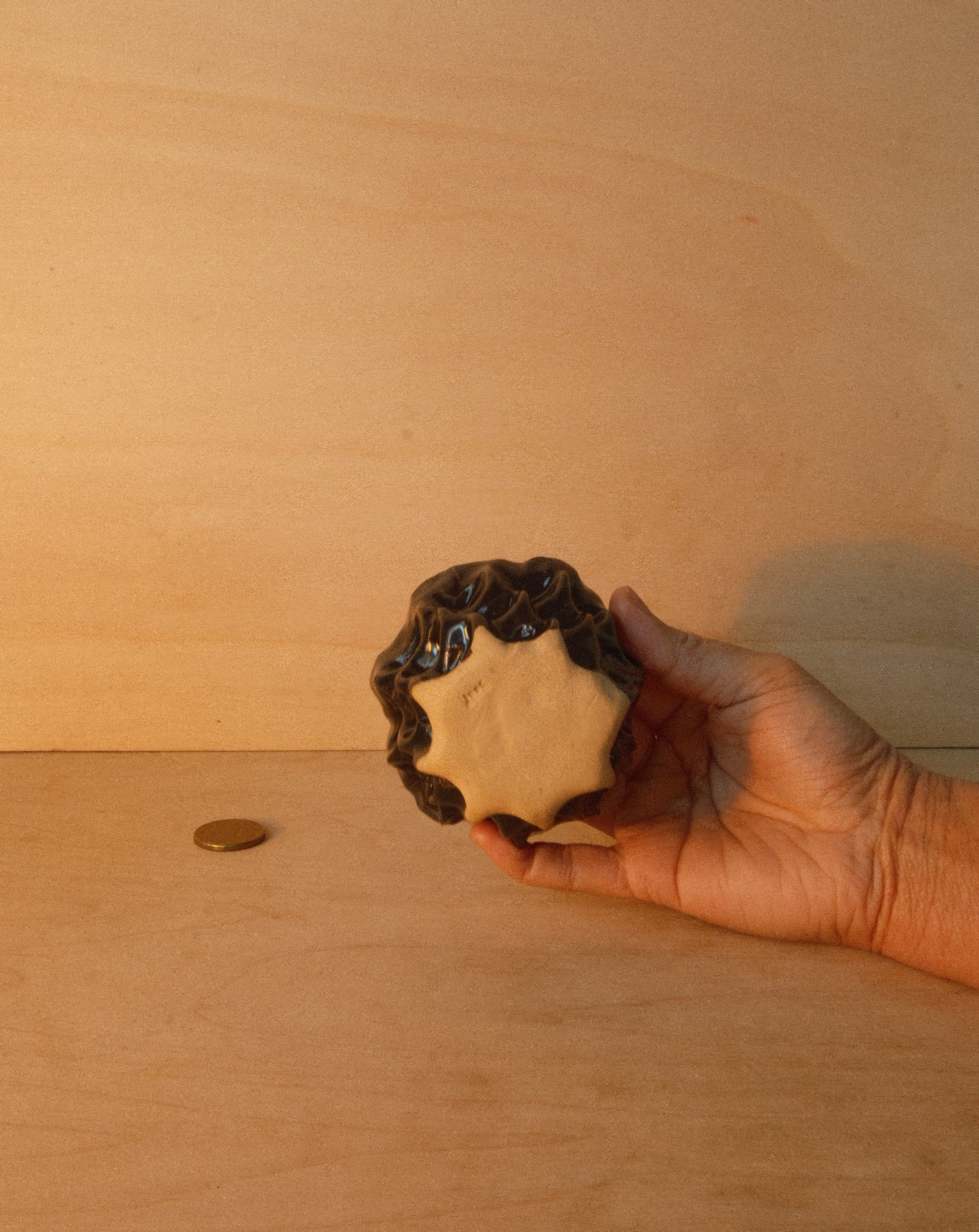 BLACK MOREL CUP 001