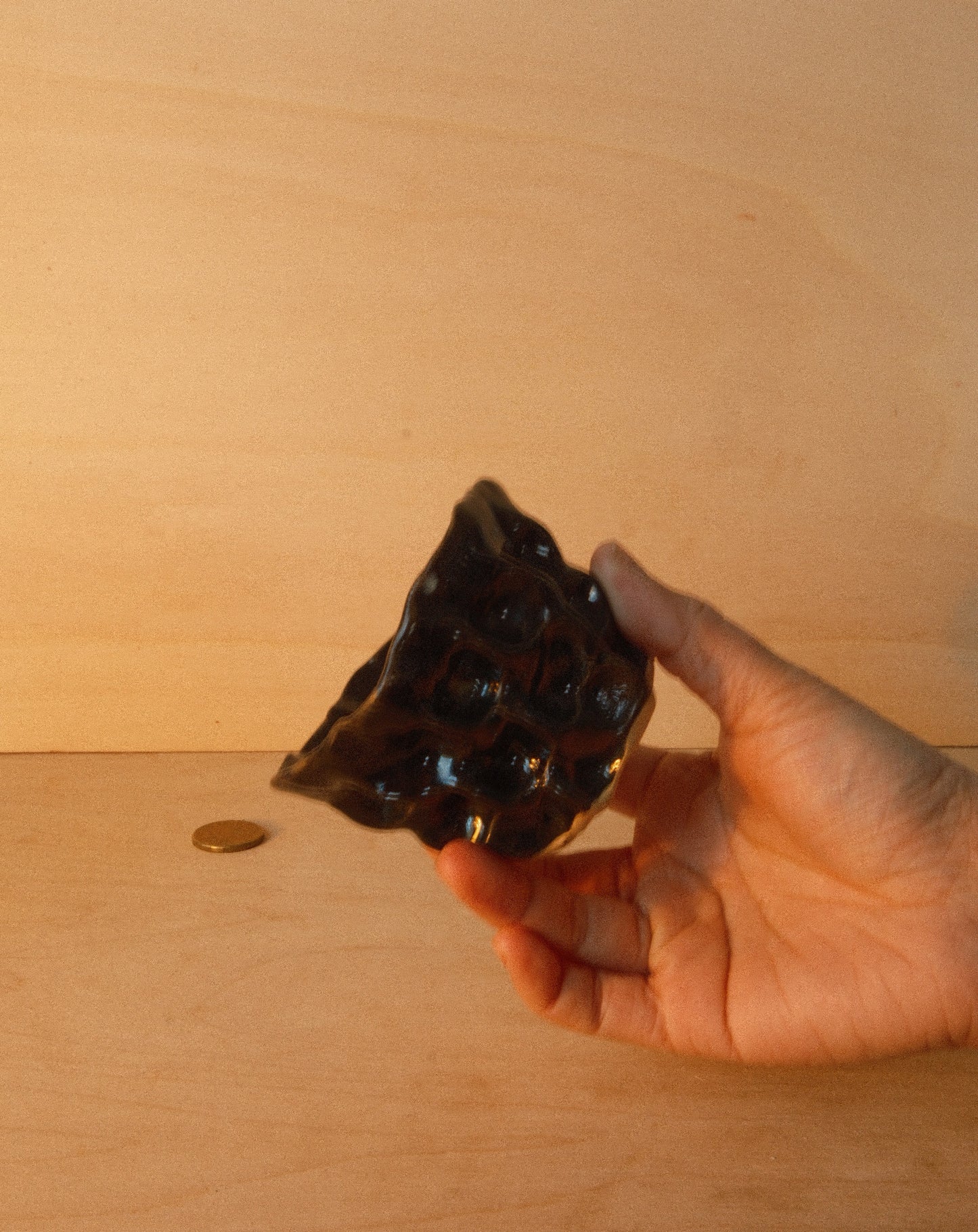 BLACK MOREL CUP 001