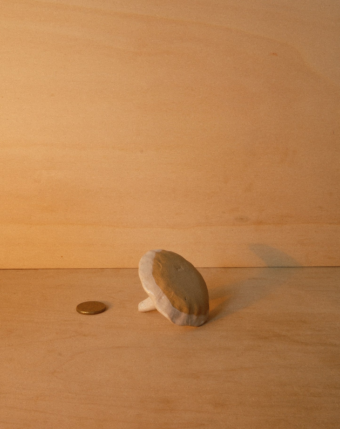 WHITE SHROOM RING DISH 001