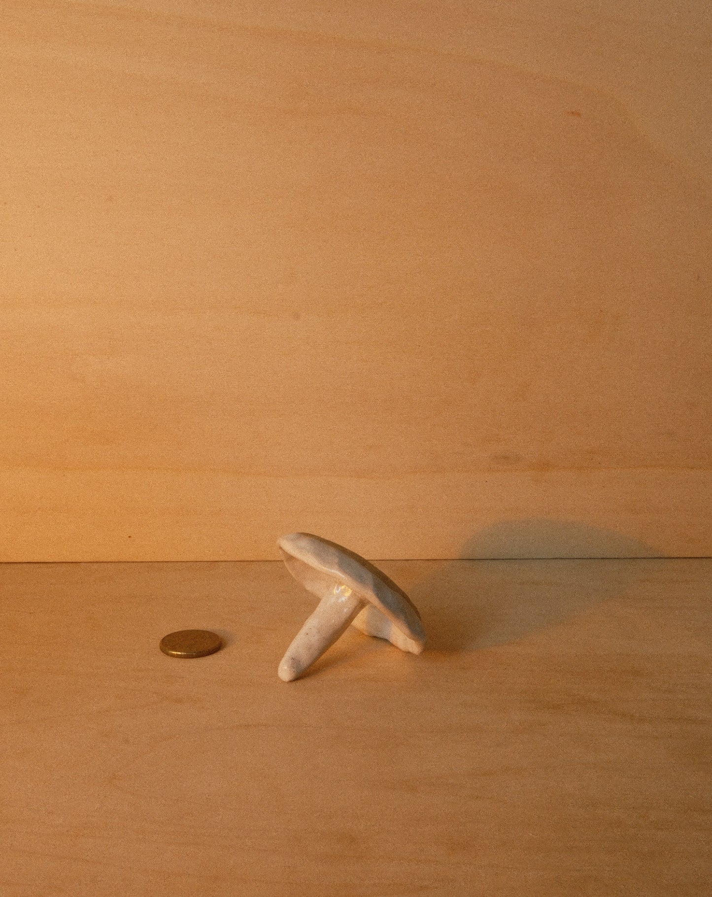 WHITE SHROOM RING DISH 001