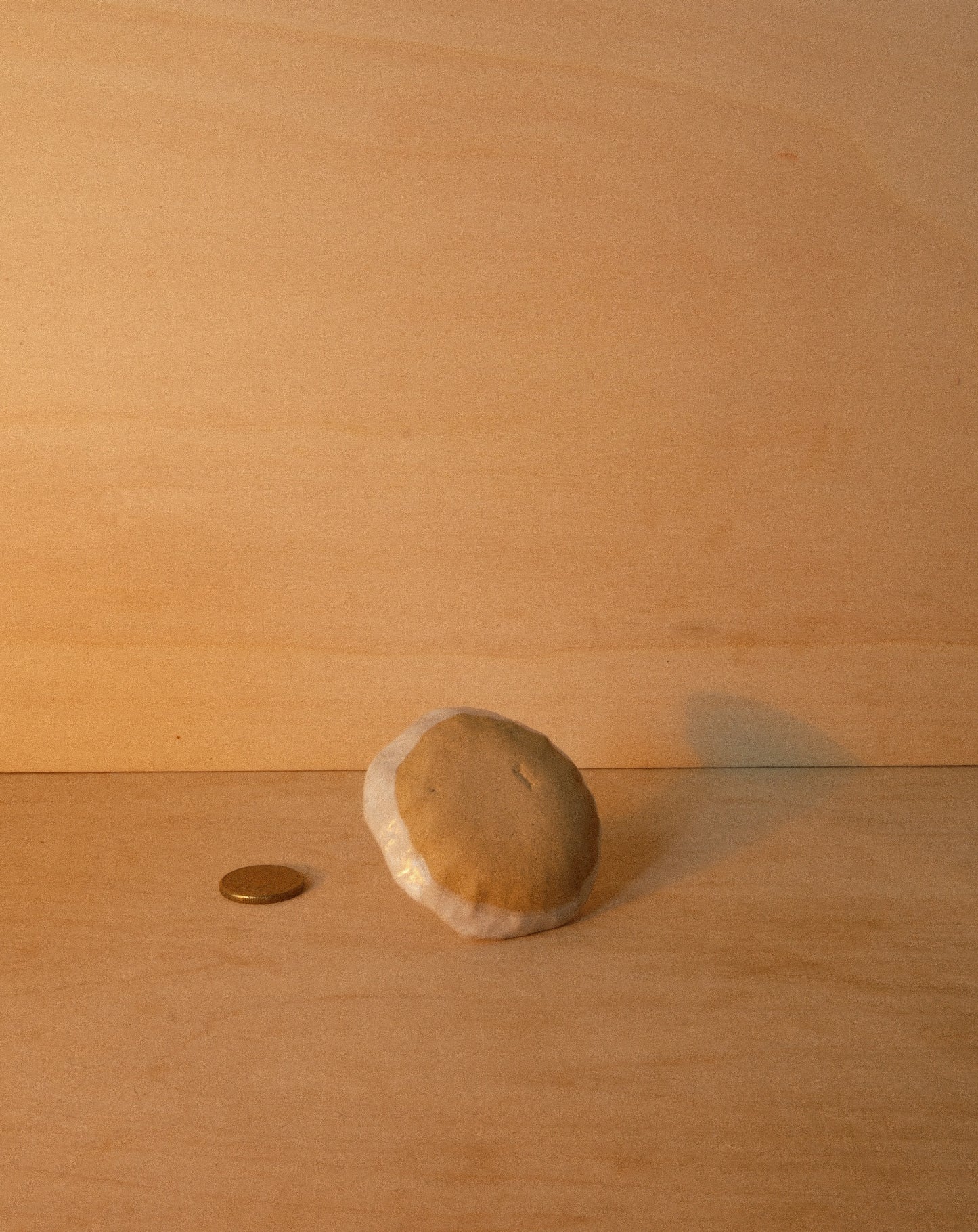 WHITE SHROOM RING DISH 001