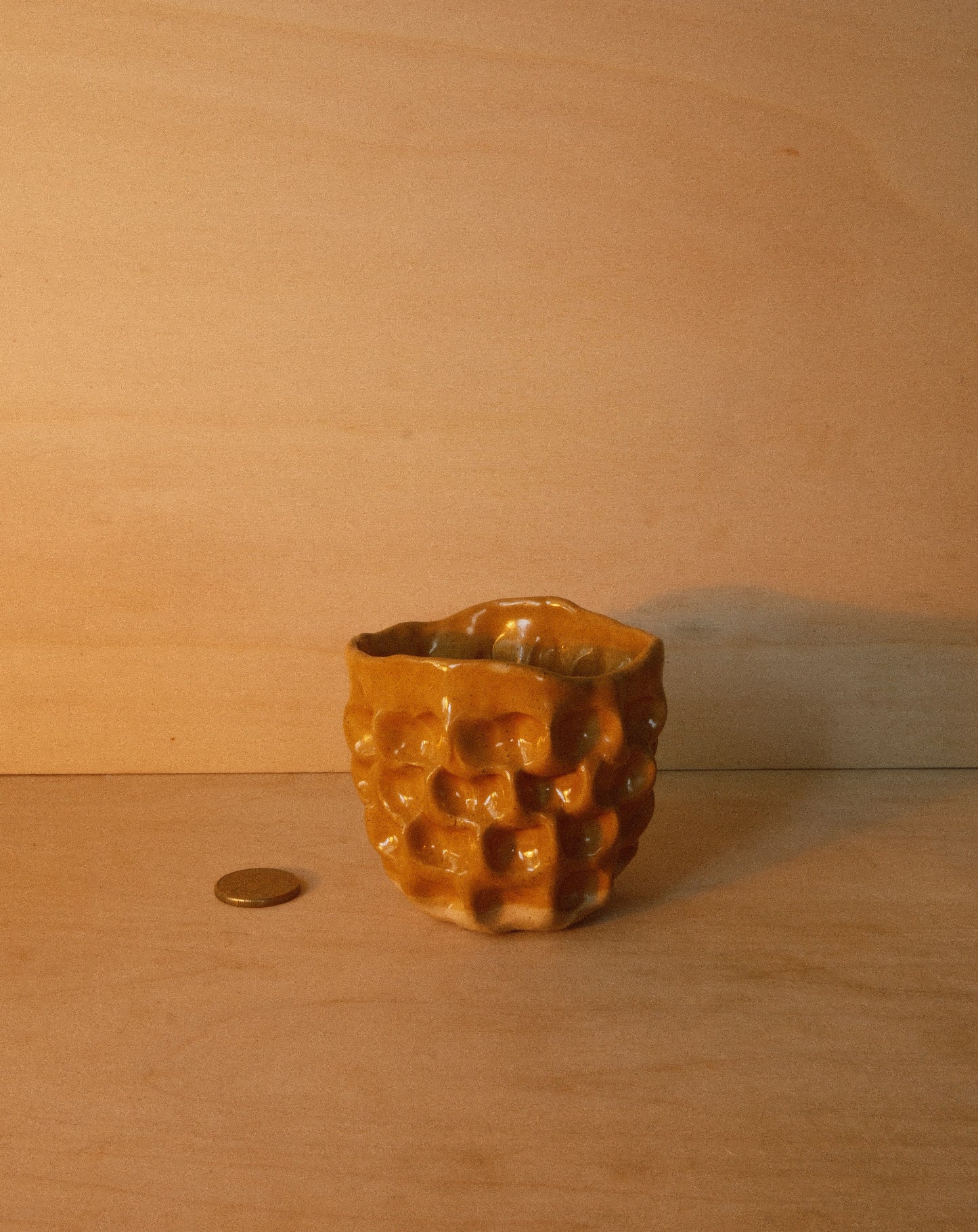 HONEY MOREL CUP 001