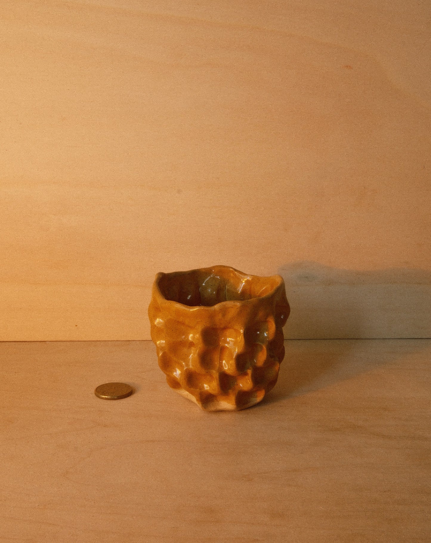 HONEY MOREL CUP 001