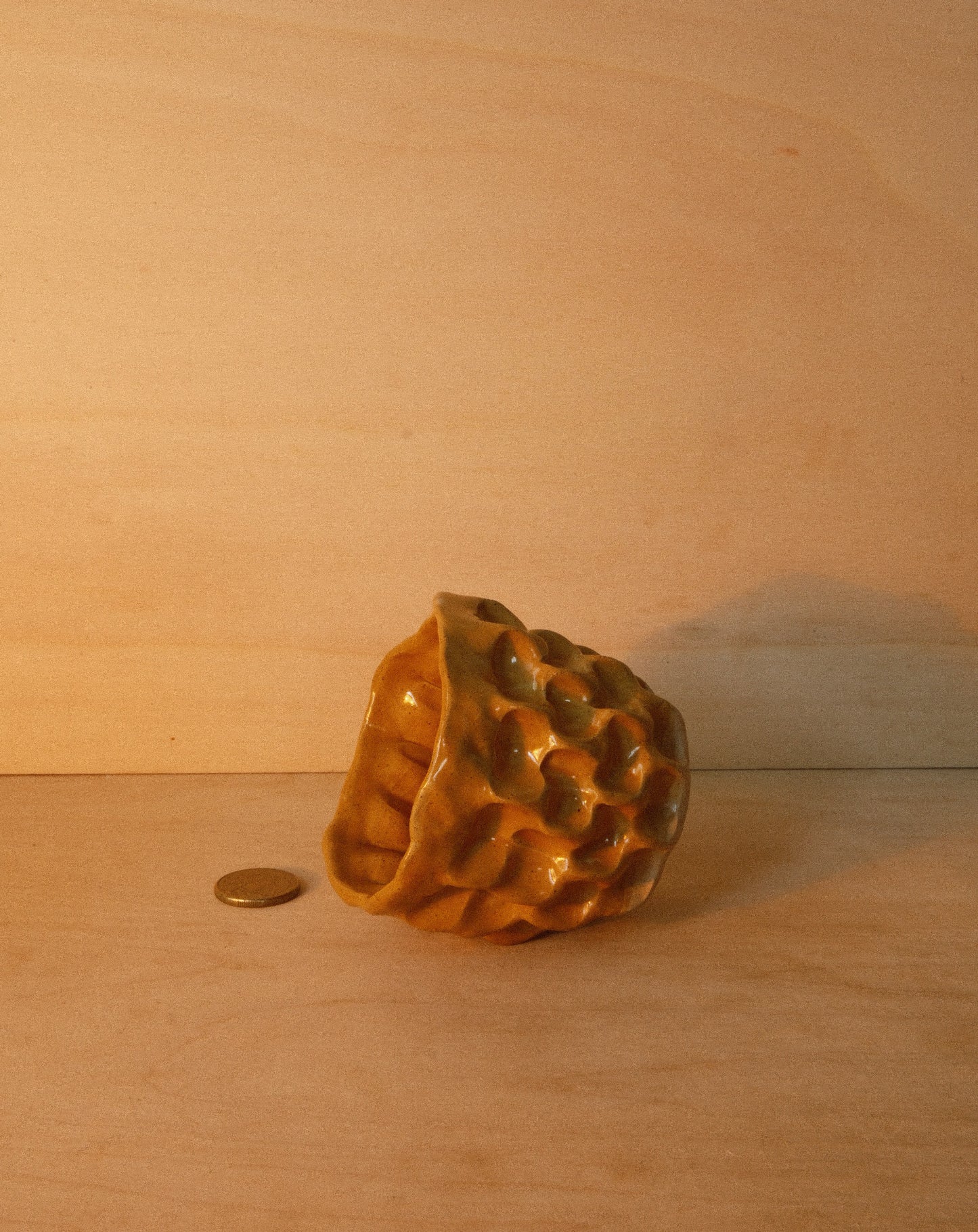 HONEY MOREL CUP 001
