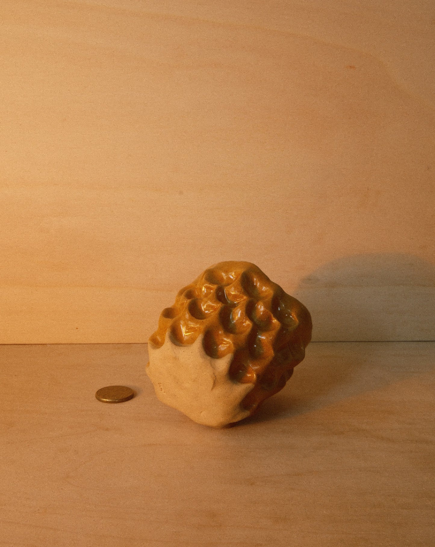 HONEY MOREL CUP 001