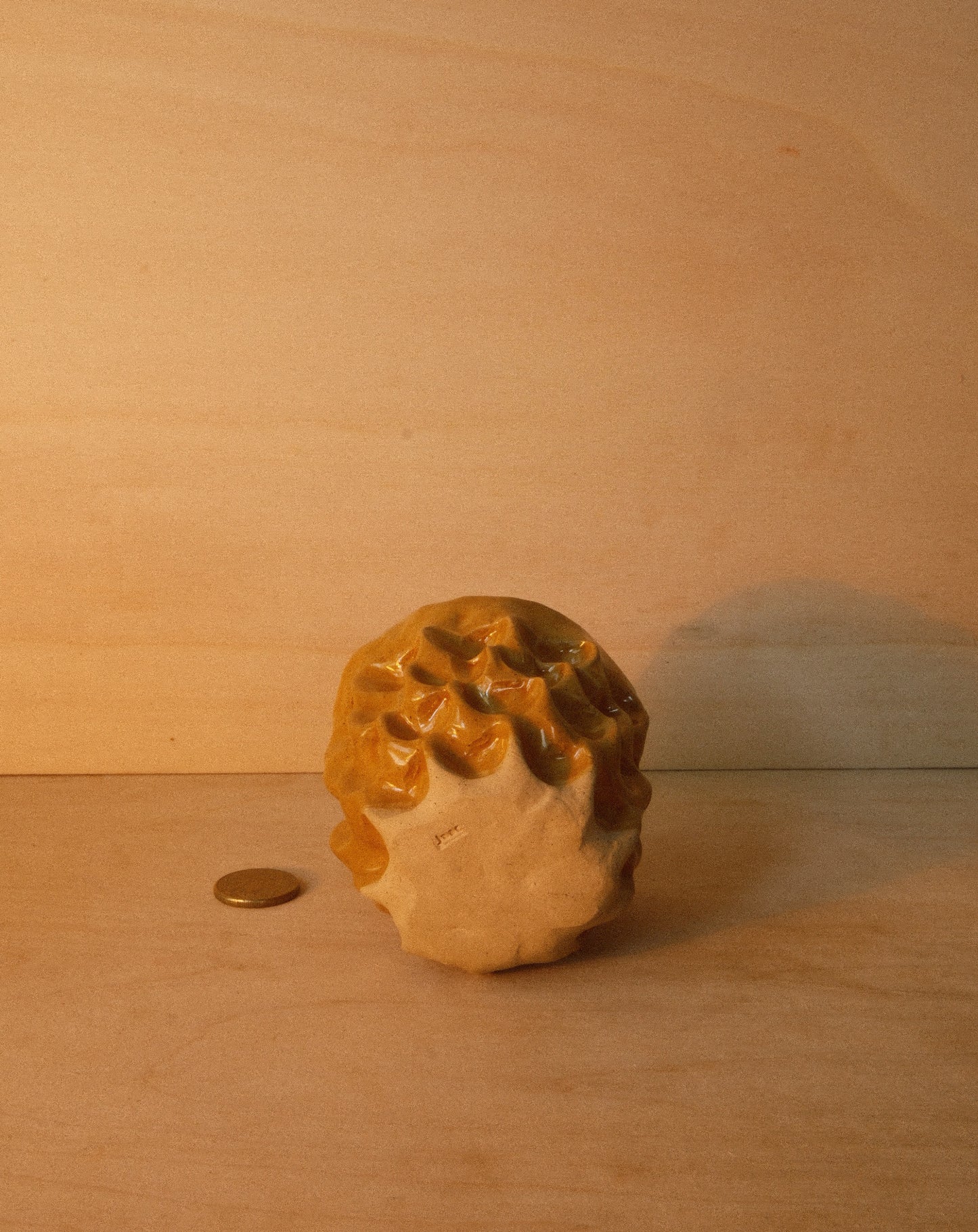 HONEY MOREL CUP 001