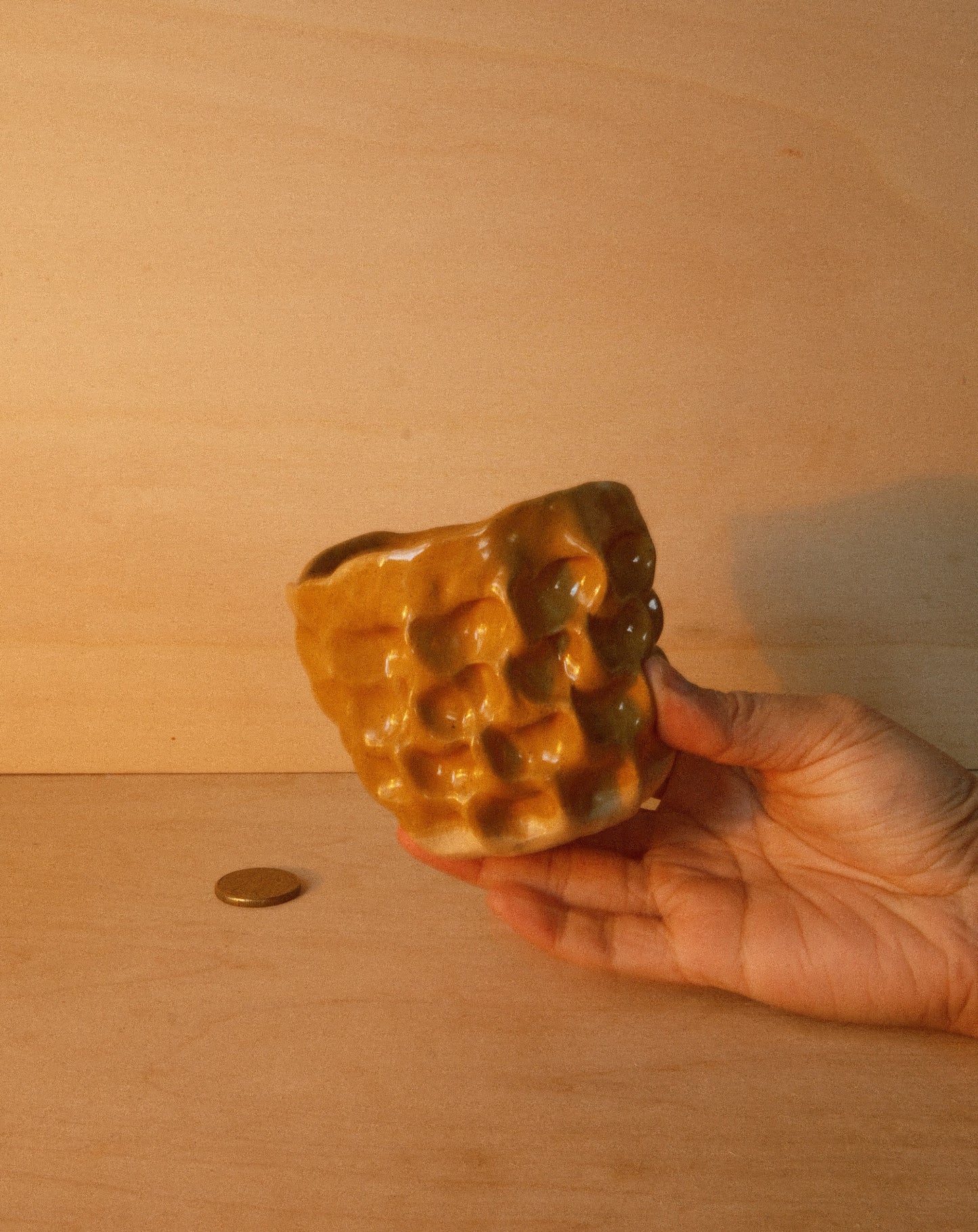 HONEY MOREL CUP 001