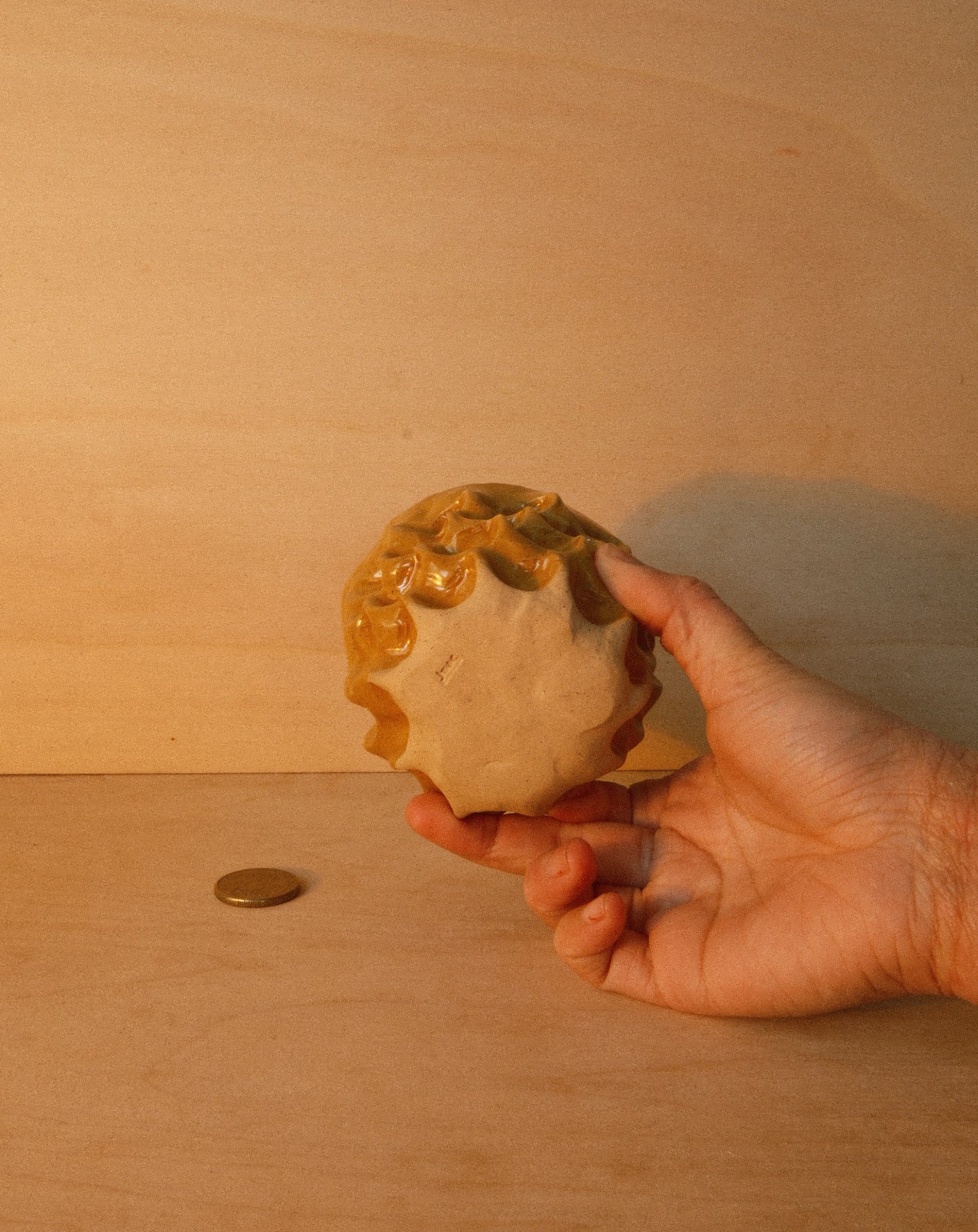 HONEY MOREL CUP 001