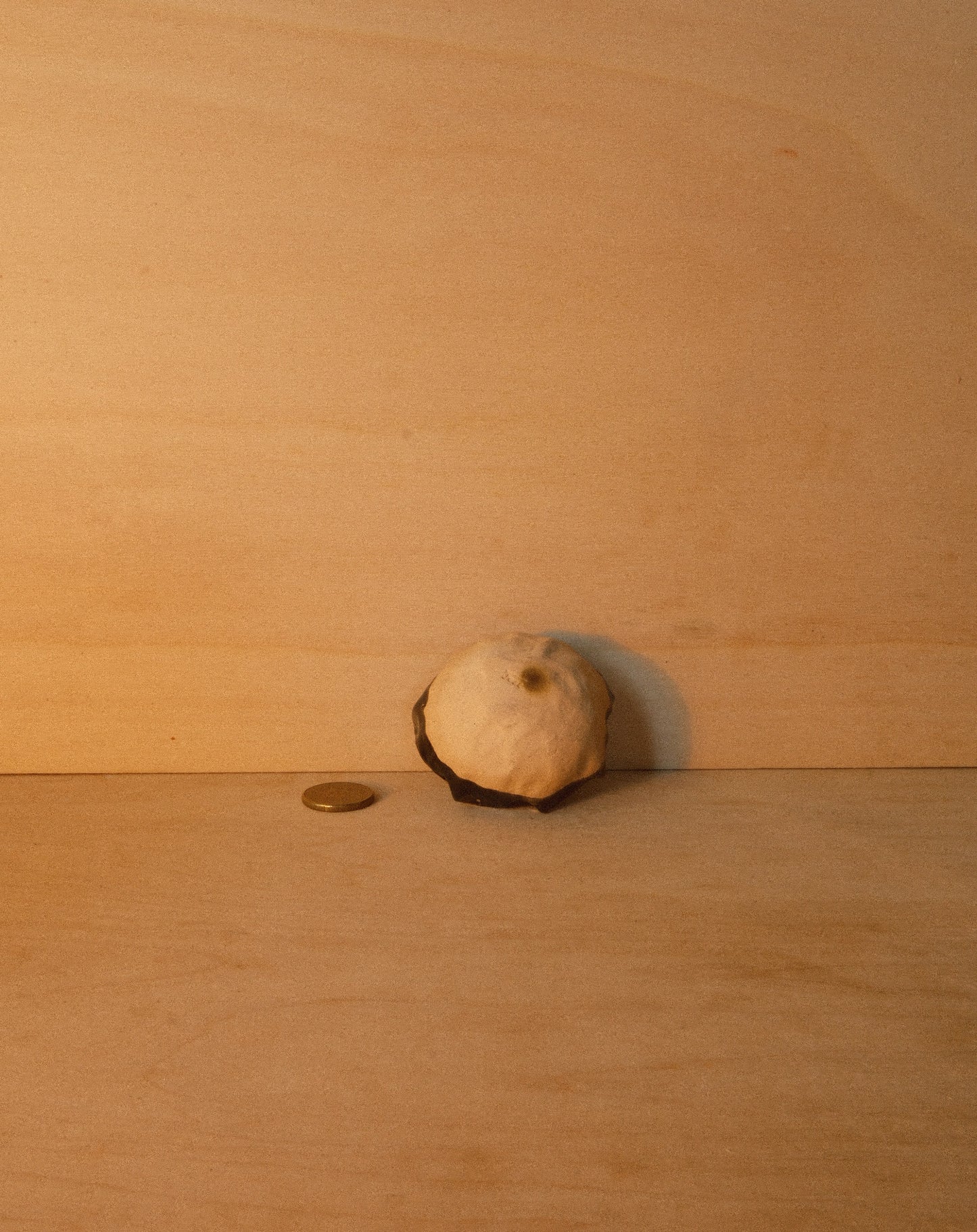 BLACK SHROOM DISH 001