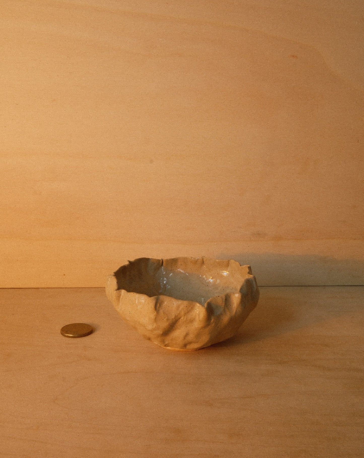 DUSK SHROOM BOWL 001