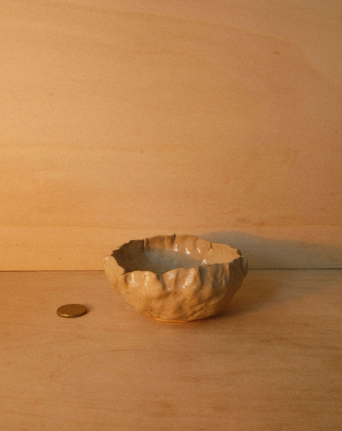 DUSK SHROOM BOWL 001