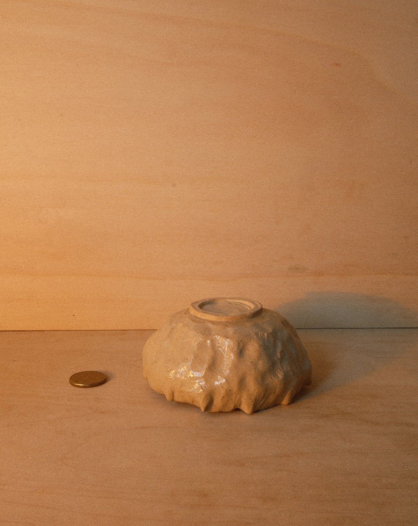 DUSK SHROOM BOWL 001