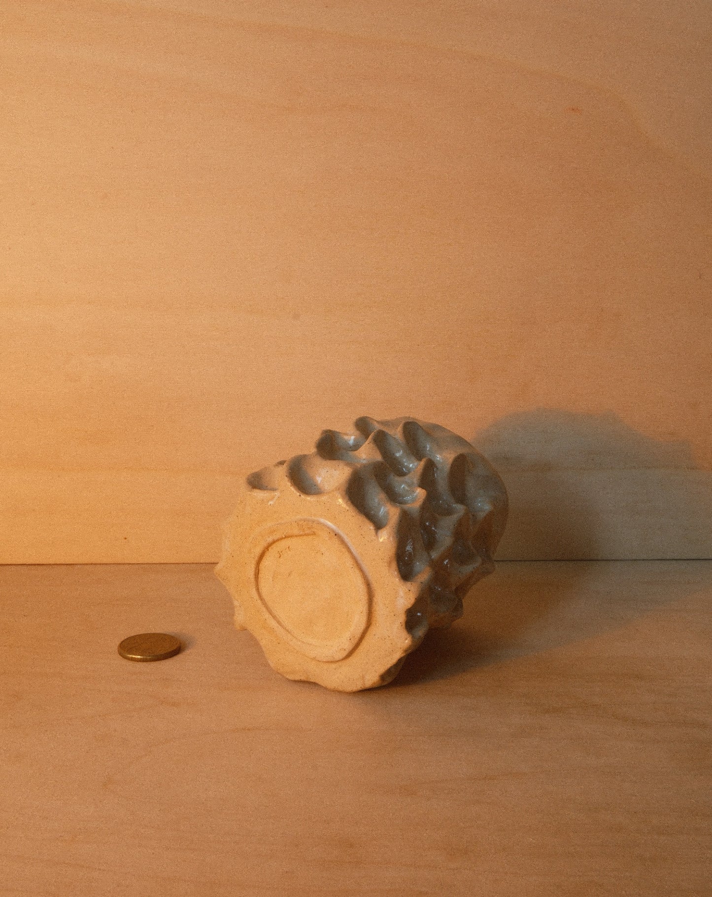 DUSK MOREL CUP 001