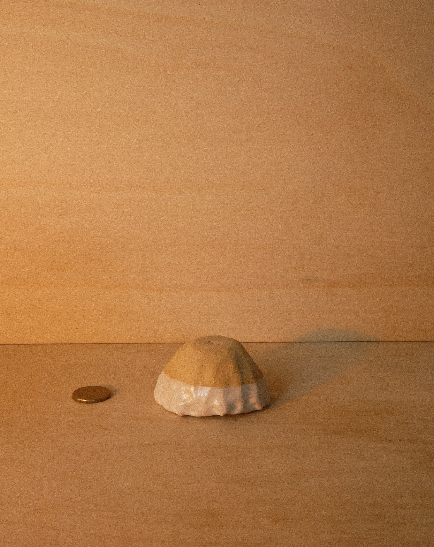 WHITE SHROOM DISH 001