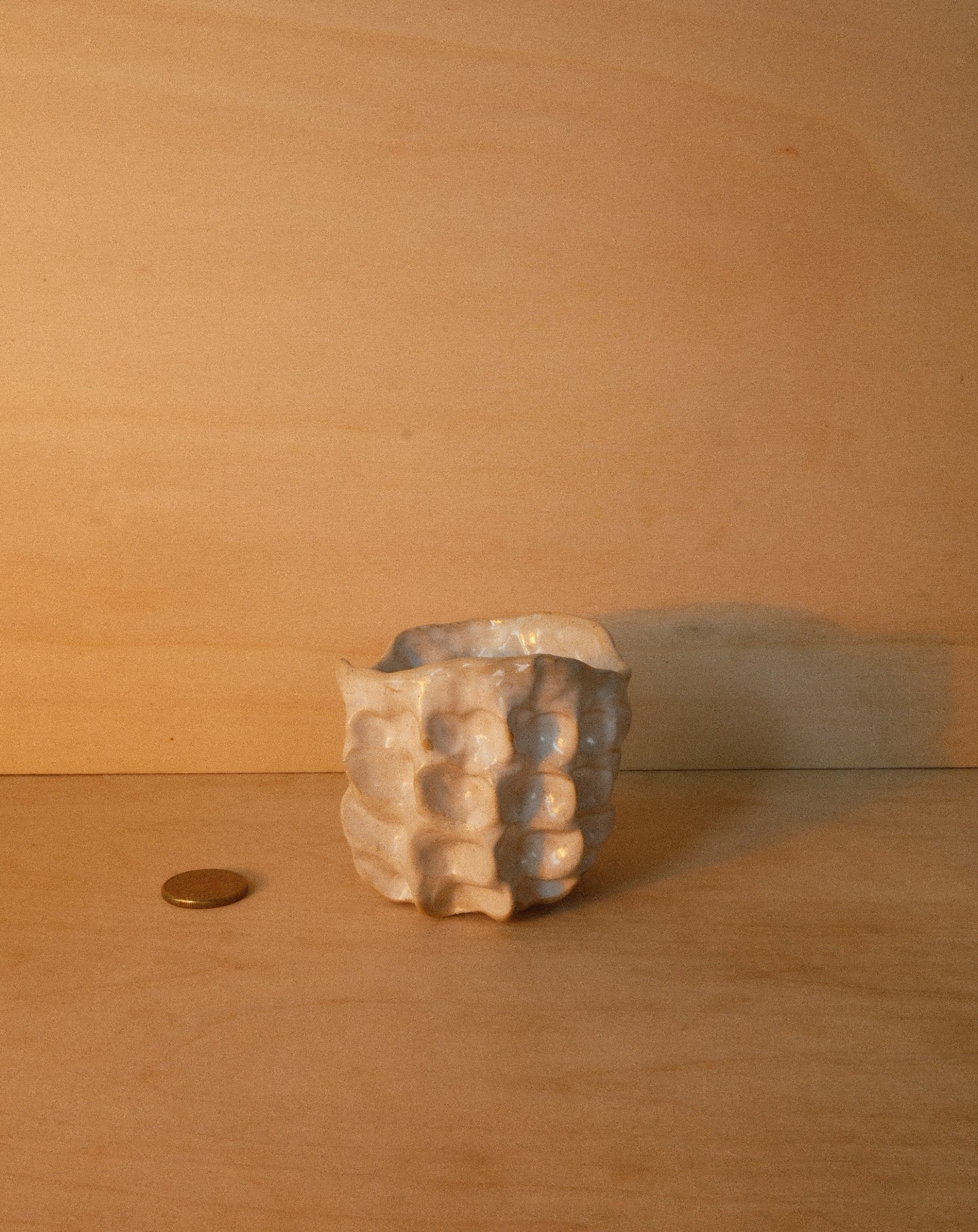 WHITE MOREL CUP 002