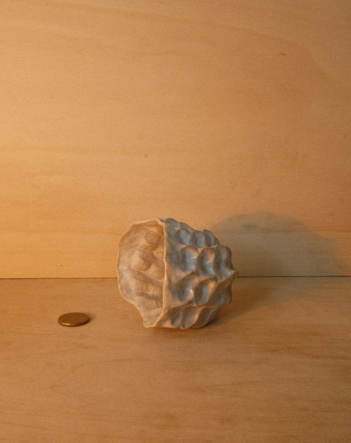 WHITE MOREL CUP 002