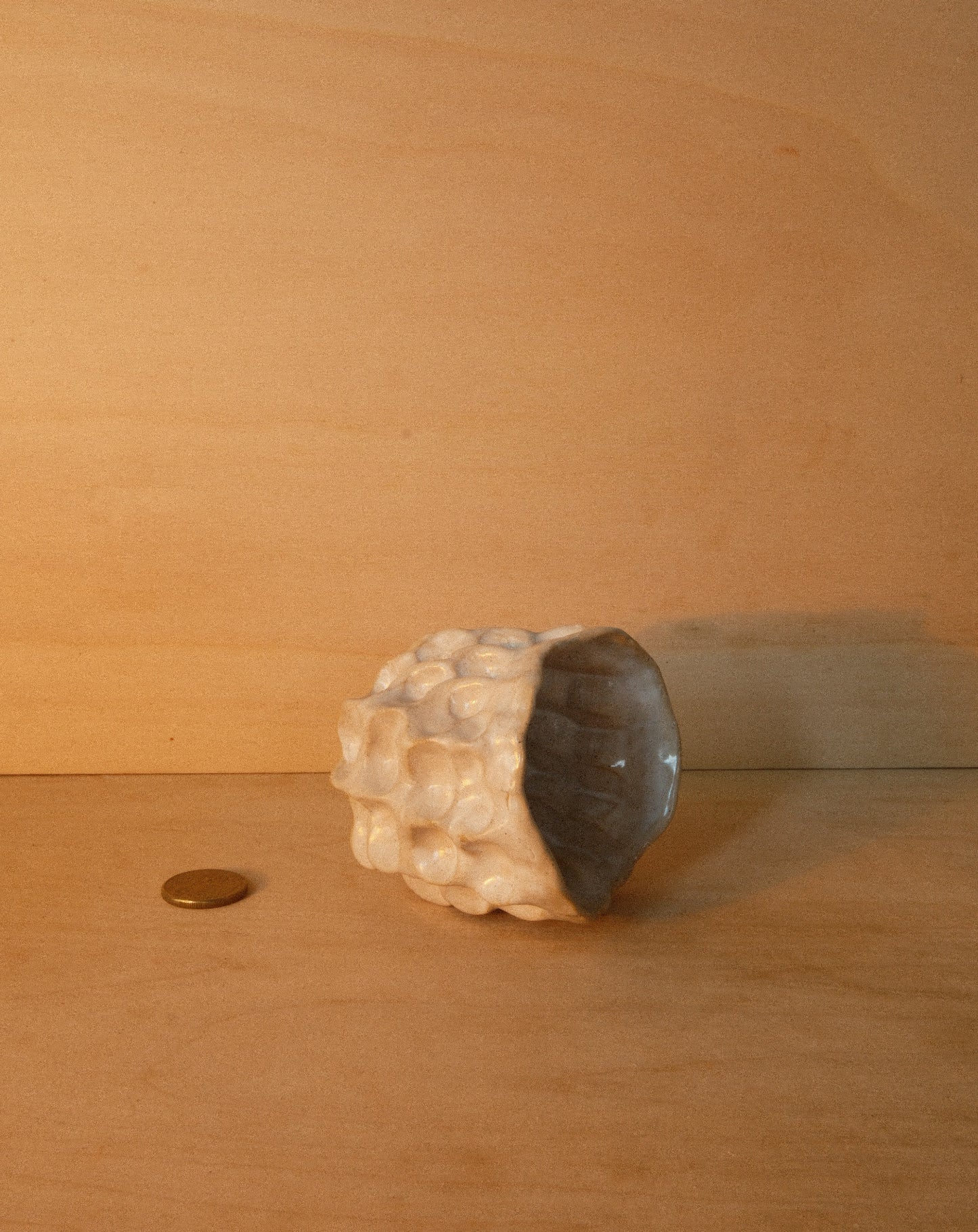 WHITE MOREL CUP 002