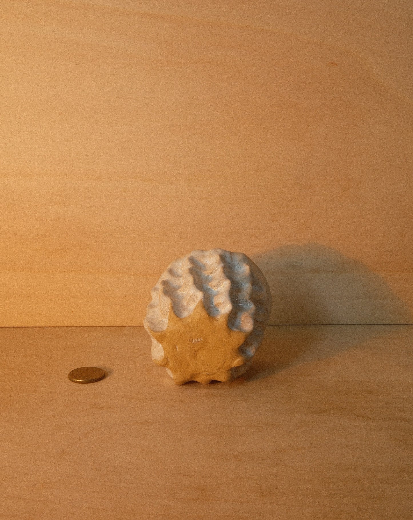 WHITE MOREL CUP 002