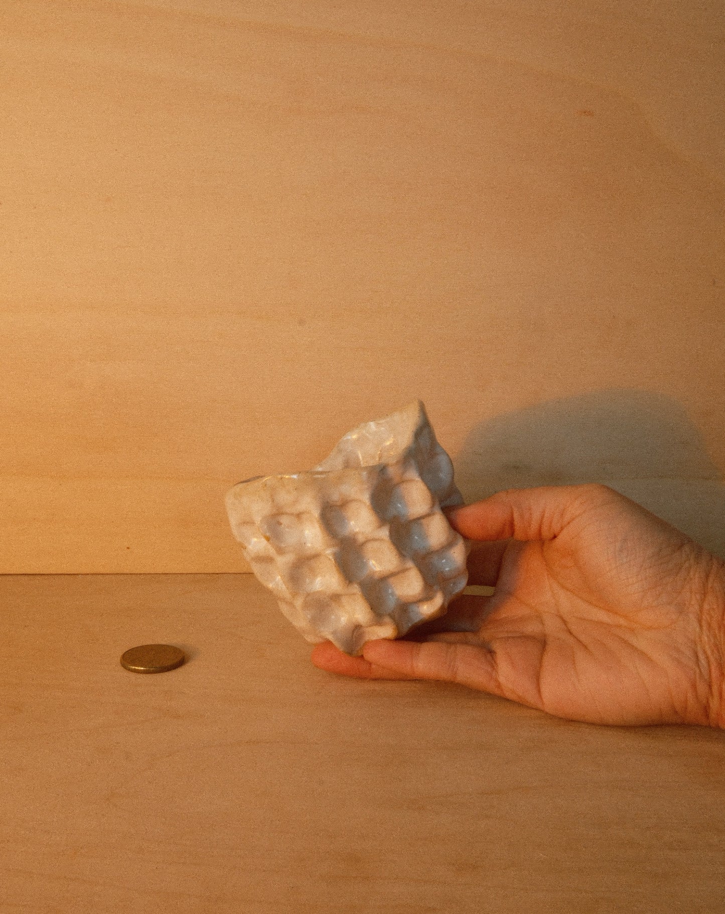WHITE MOREL CUP 002