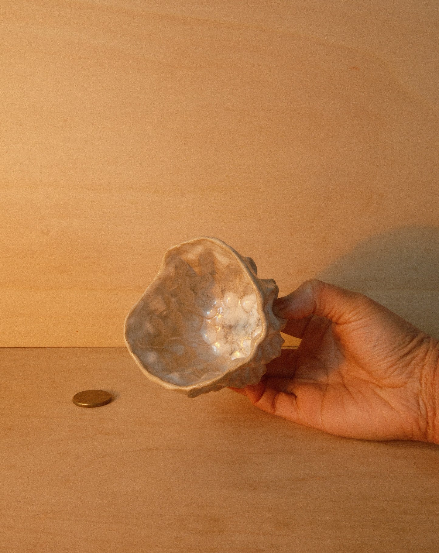 WHITE MOREL CUP 002