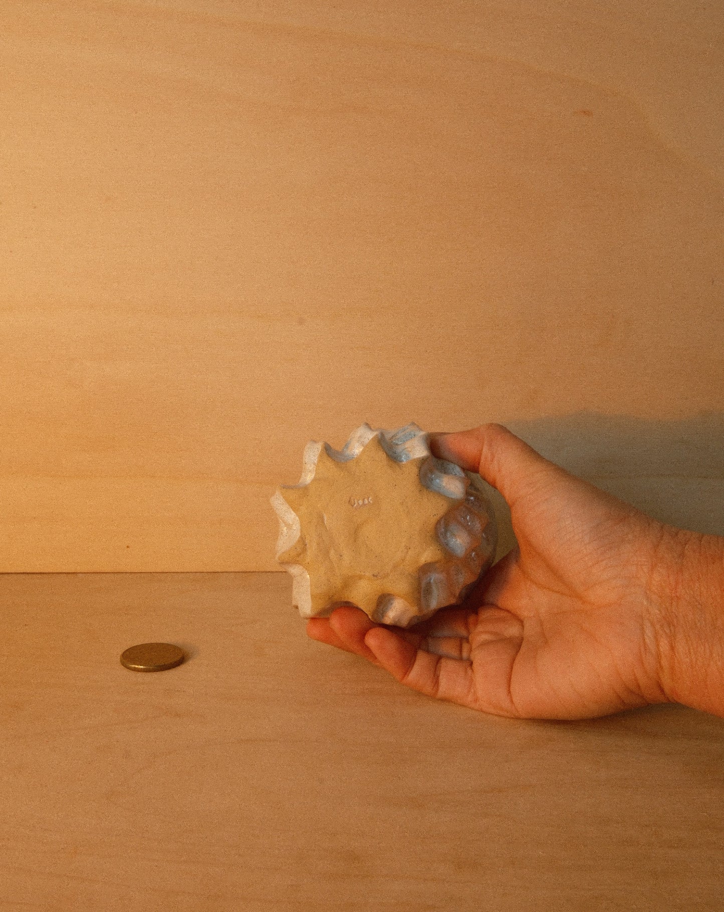 WHITE MOREL CUP 002