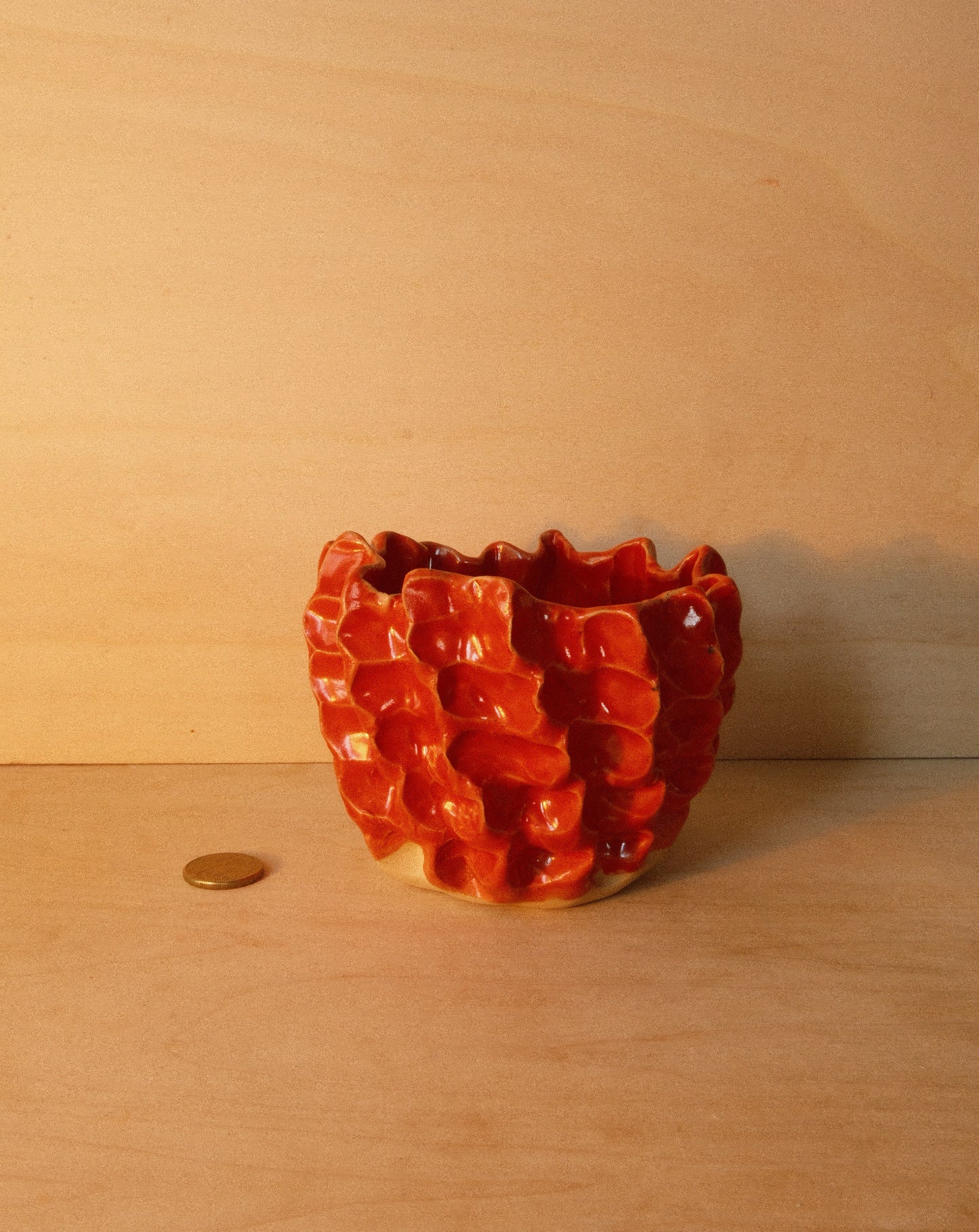 RED MOREL BOWL 001