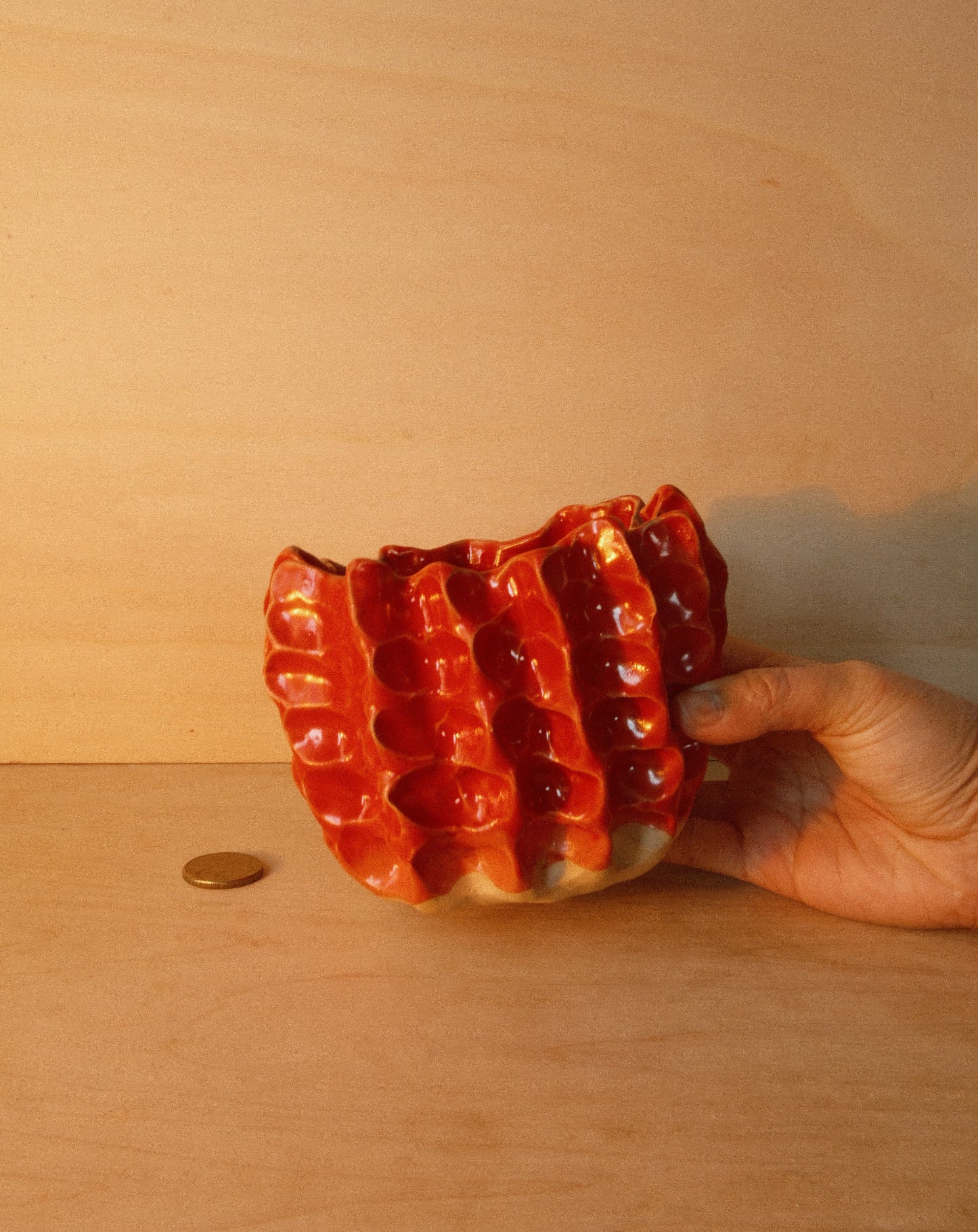 RED MOREL BOWL 001