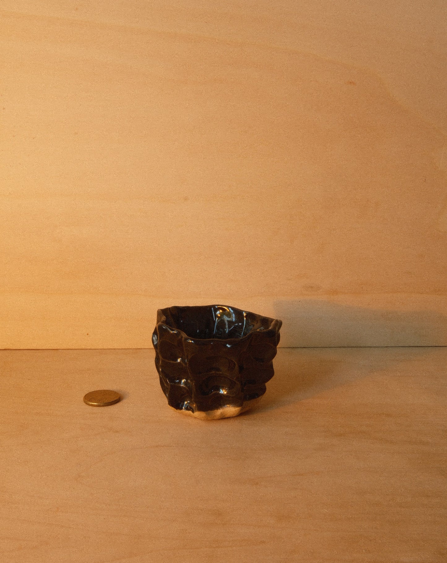 BLACK MOREL CUP 002