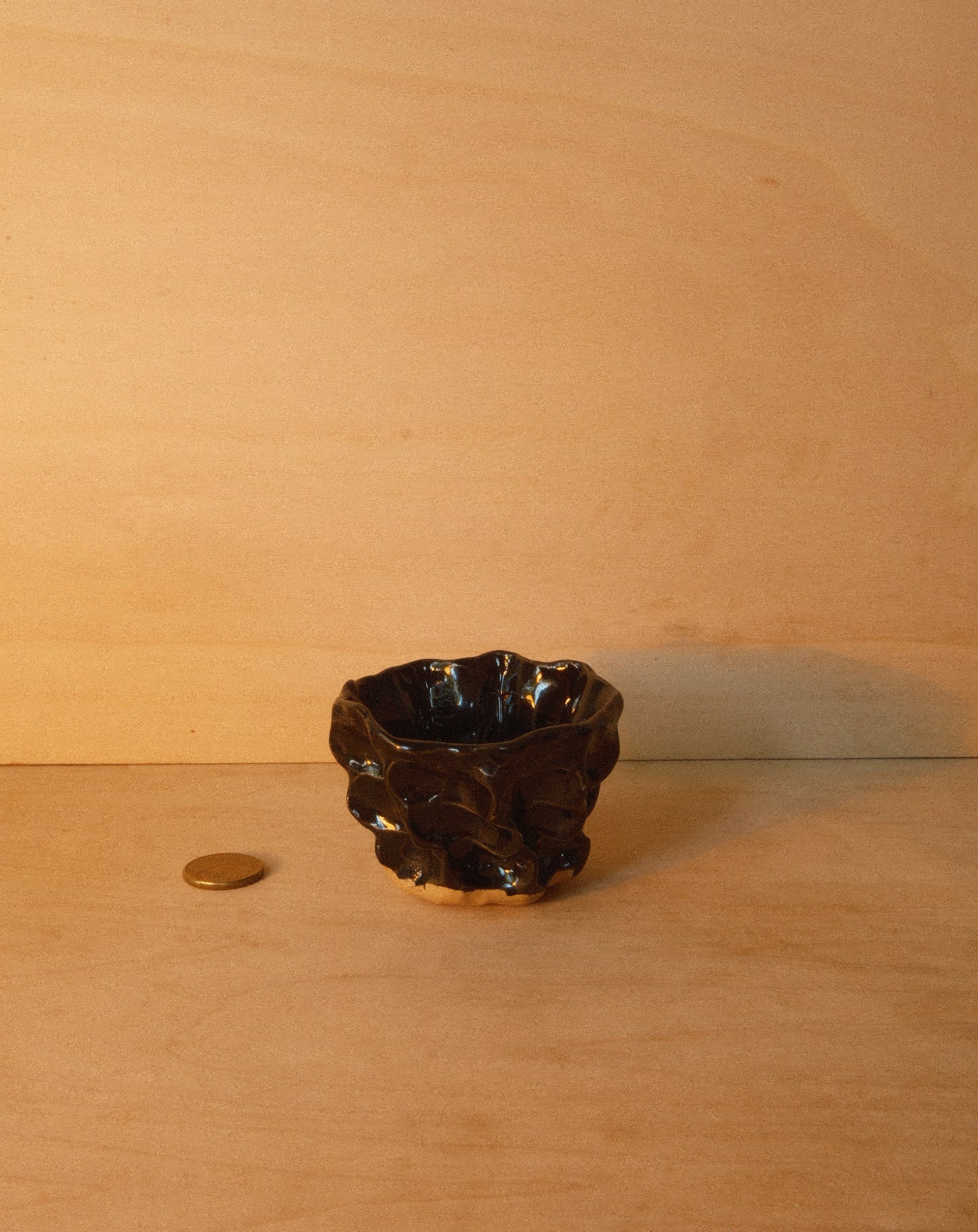 BLACK MOREL CUP 002