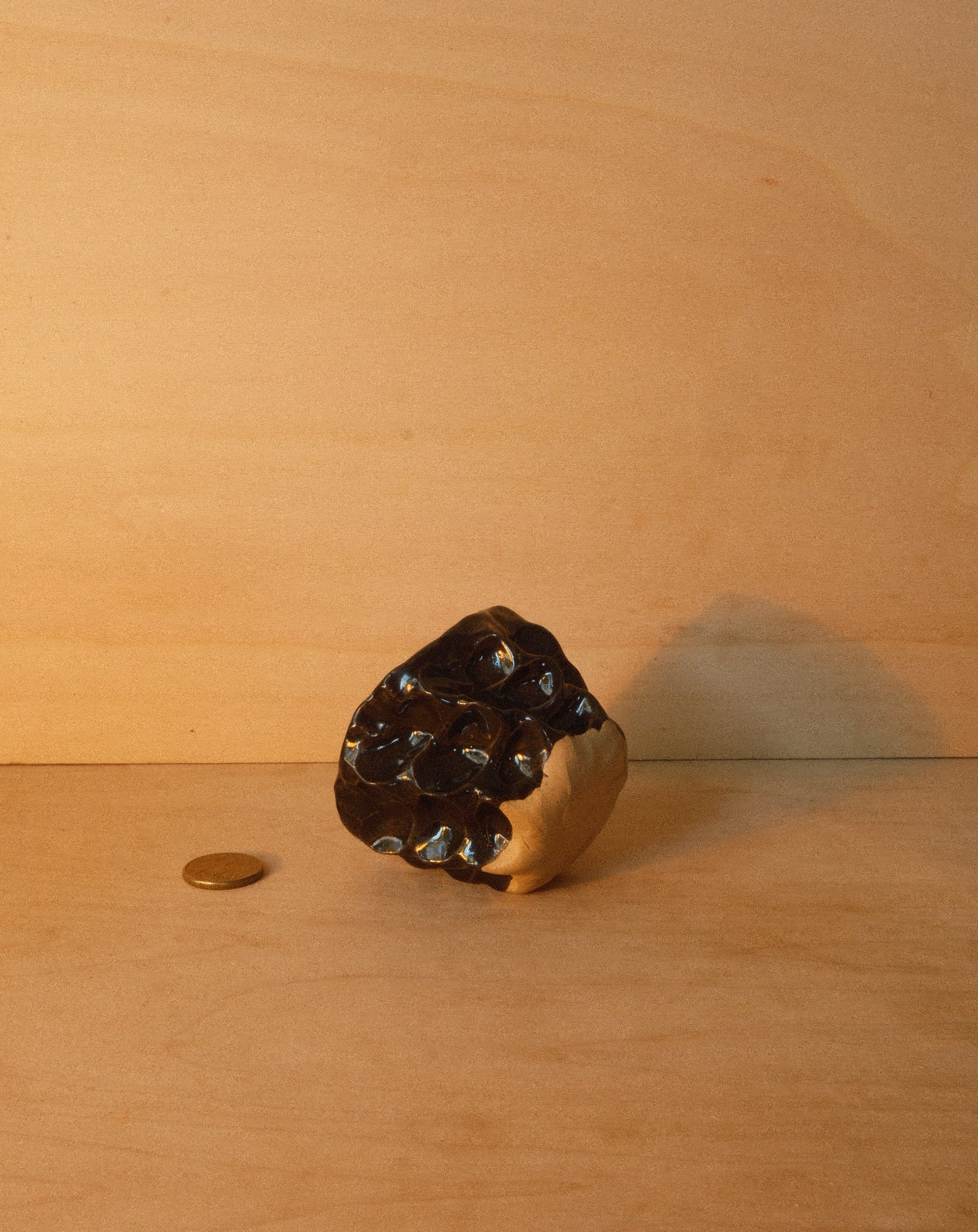 BLACK MOREL CUP 002