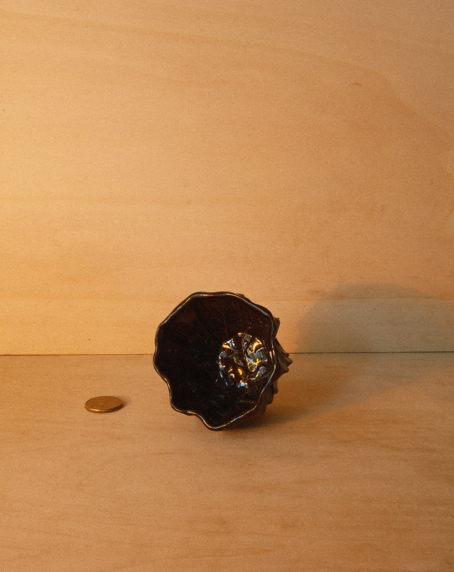 BLACK MOREL CUP 002