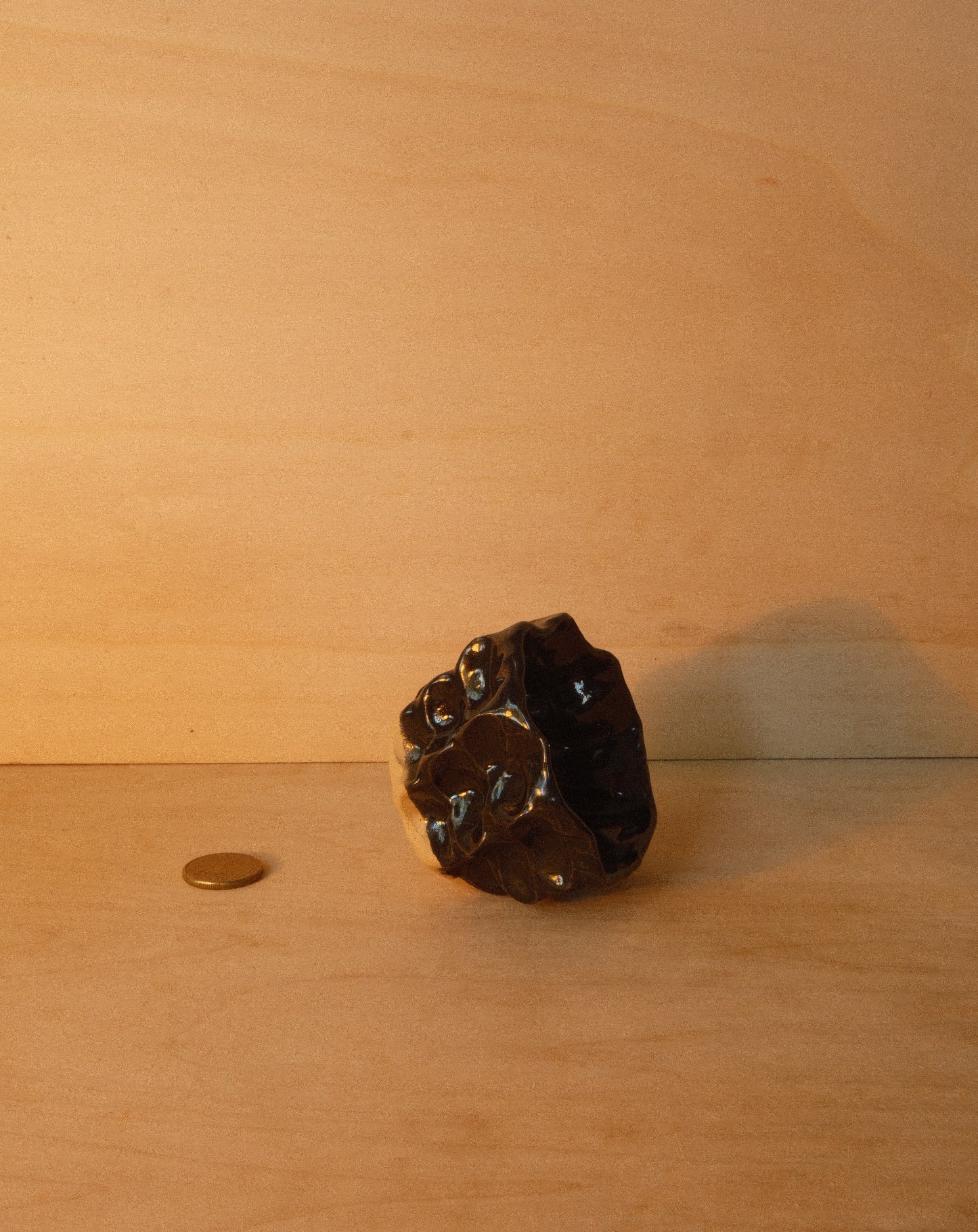 BLACK MOREL CUP 002