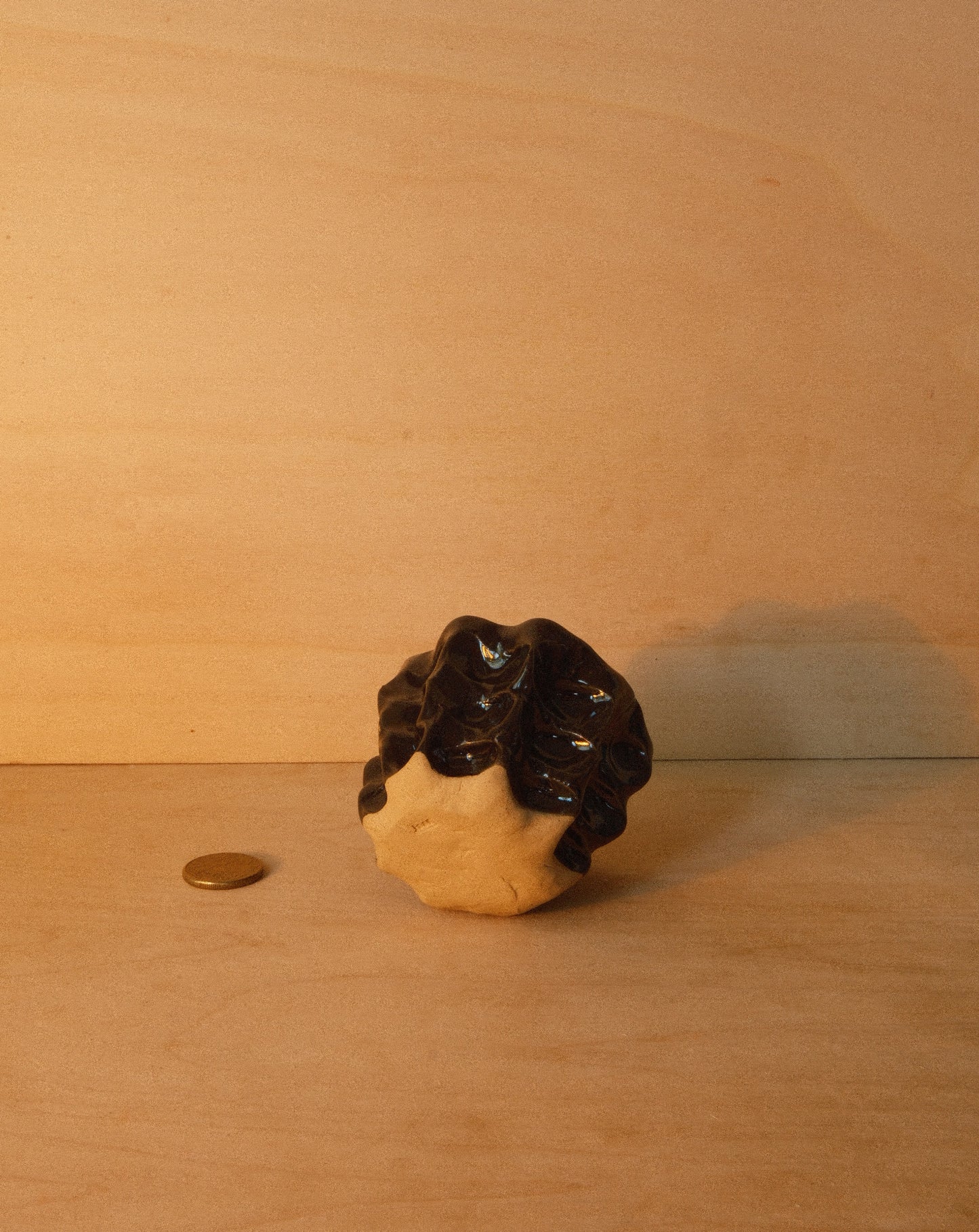 BLACK MOREL CUP 002