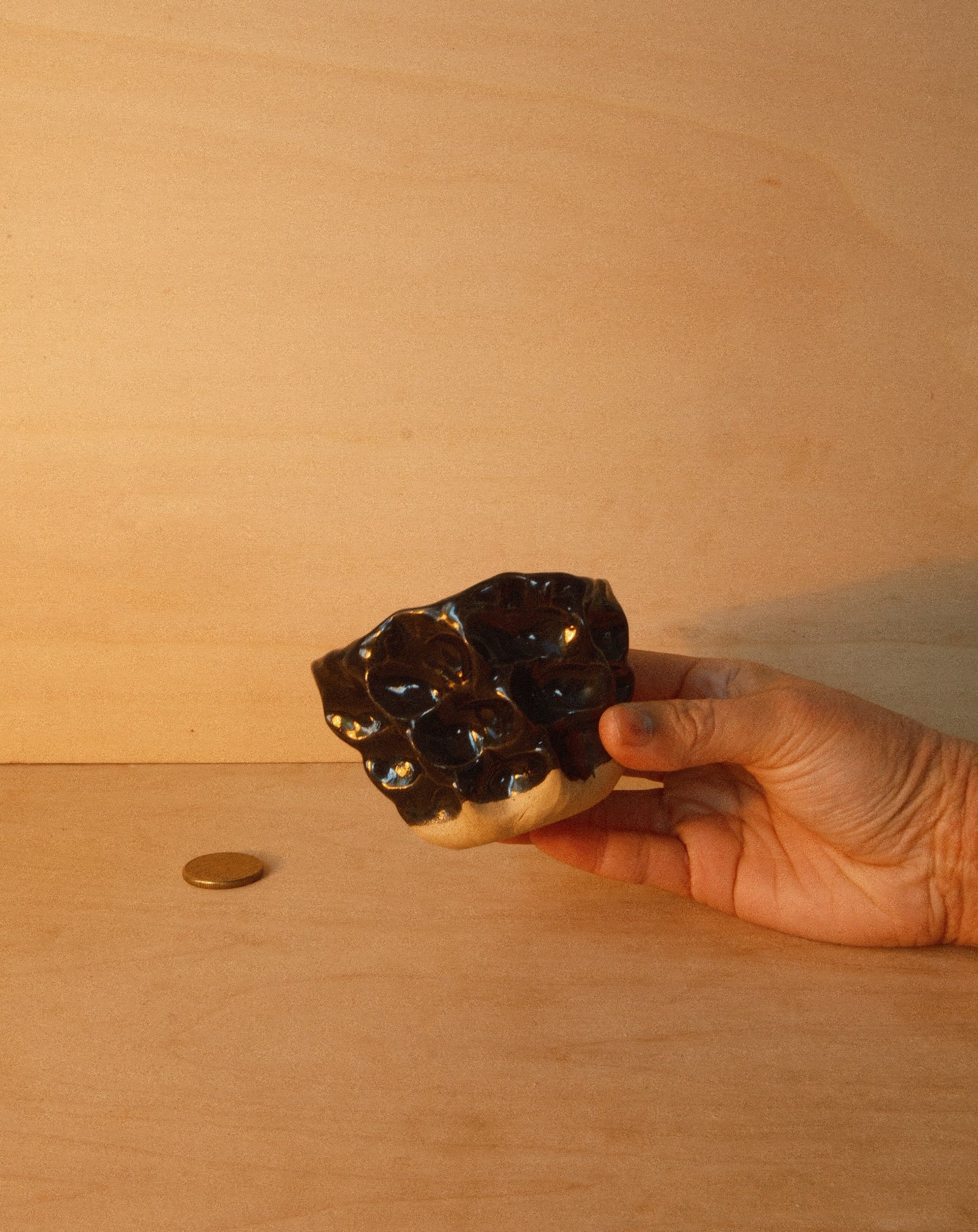 BLACK MOREL CUP 002