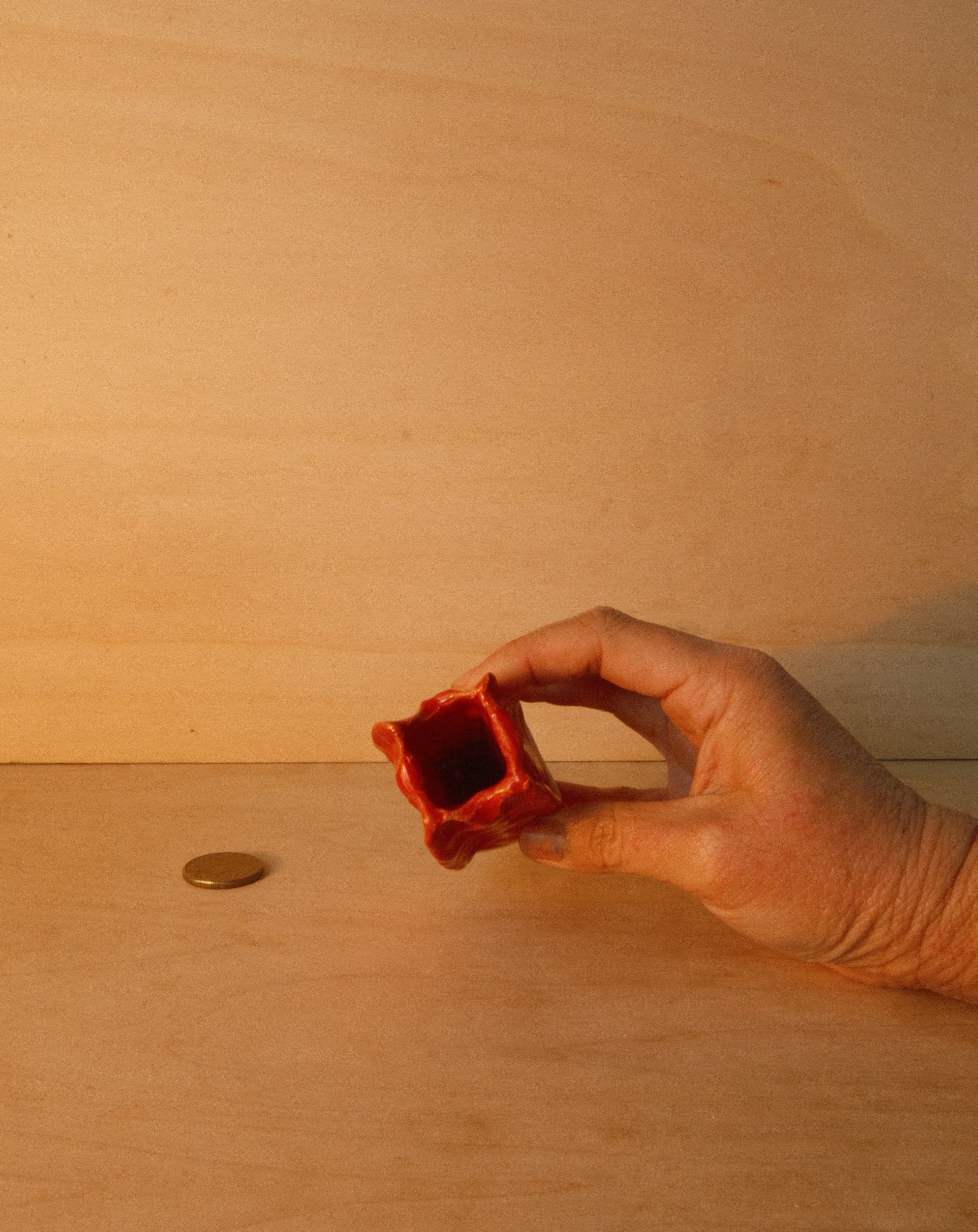 RED MOREL VASE 002