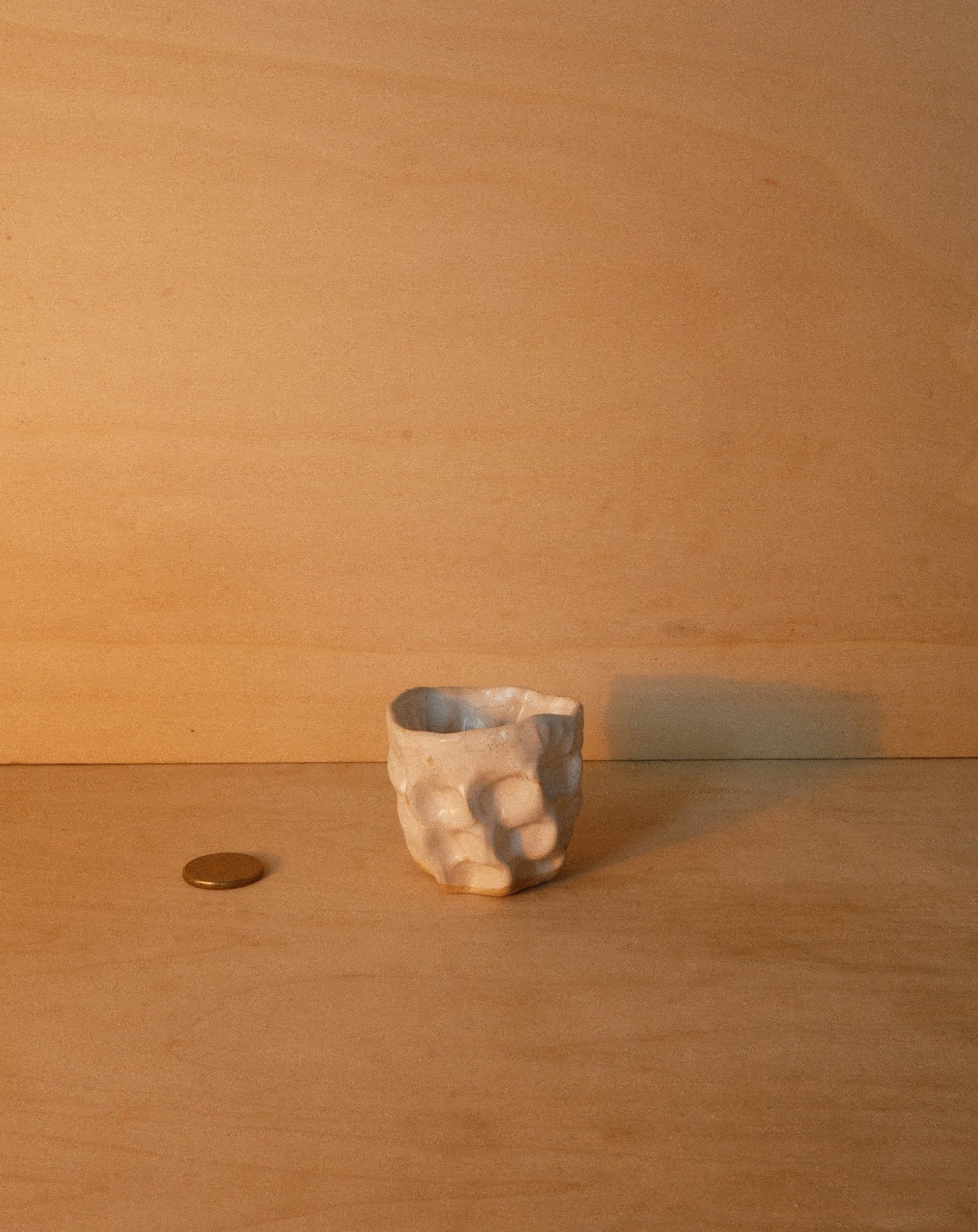 WHITE MOREL CUP 003